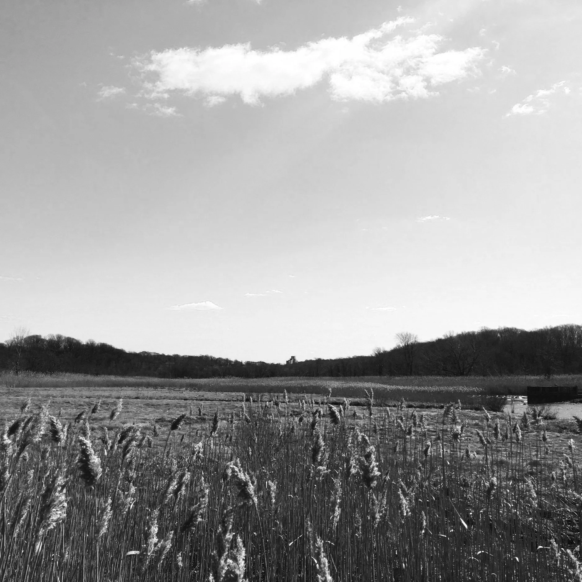 Alley Pond Park continued.