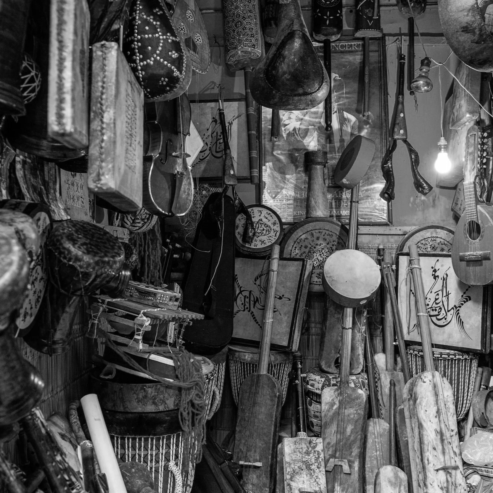 Gnawa Nova Show Recap