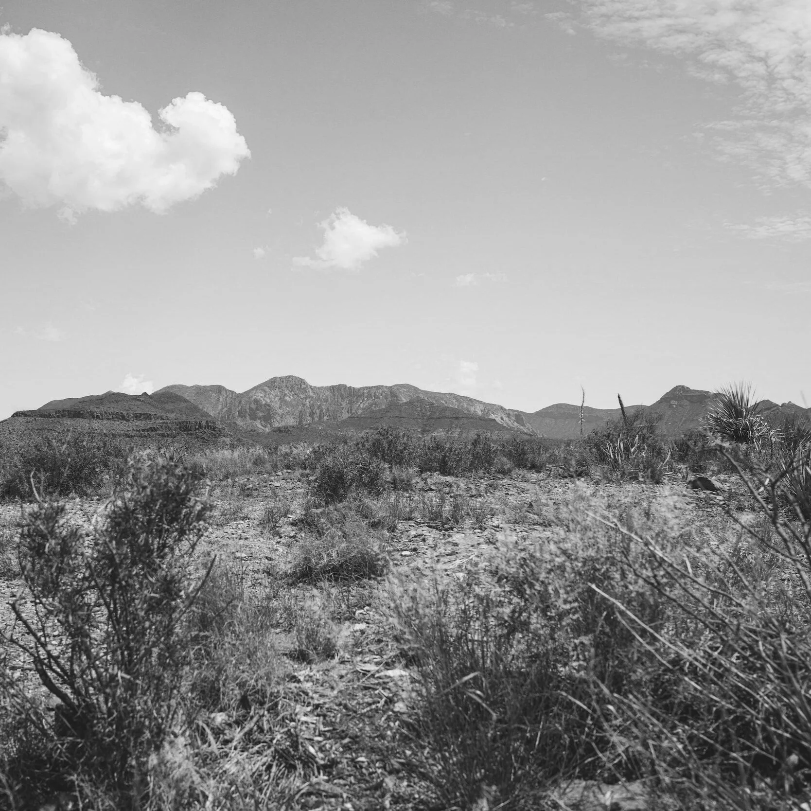 On ‘No Country for Old Men’