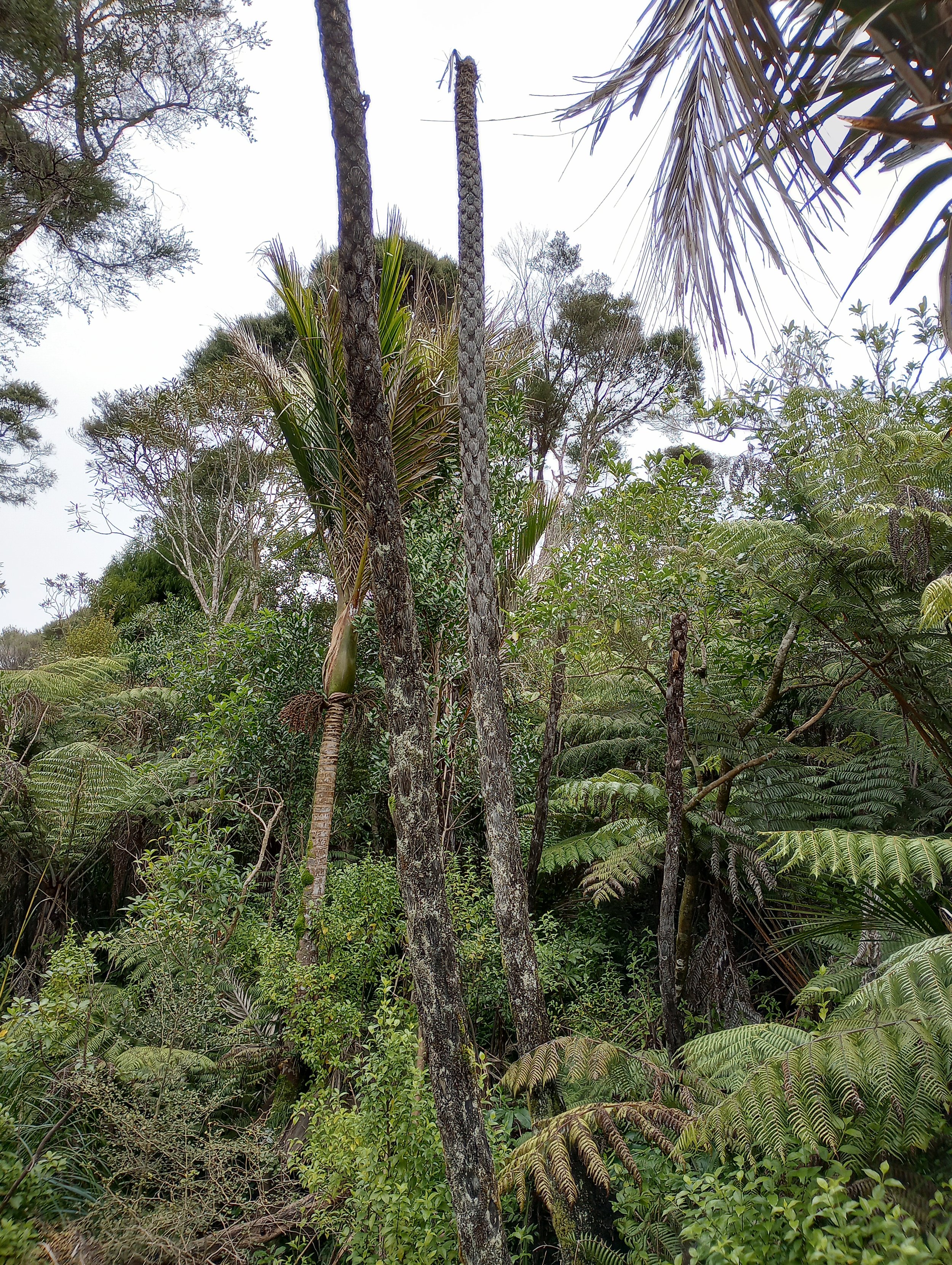 Lessons in sustainable land management