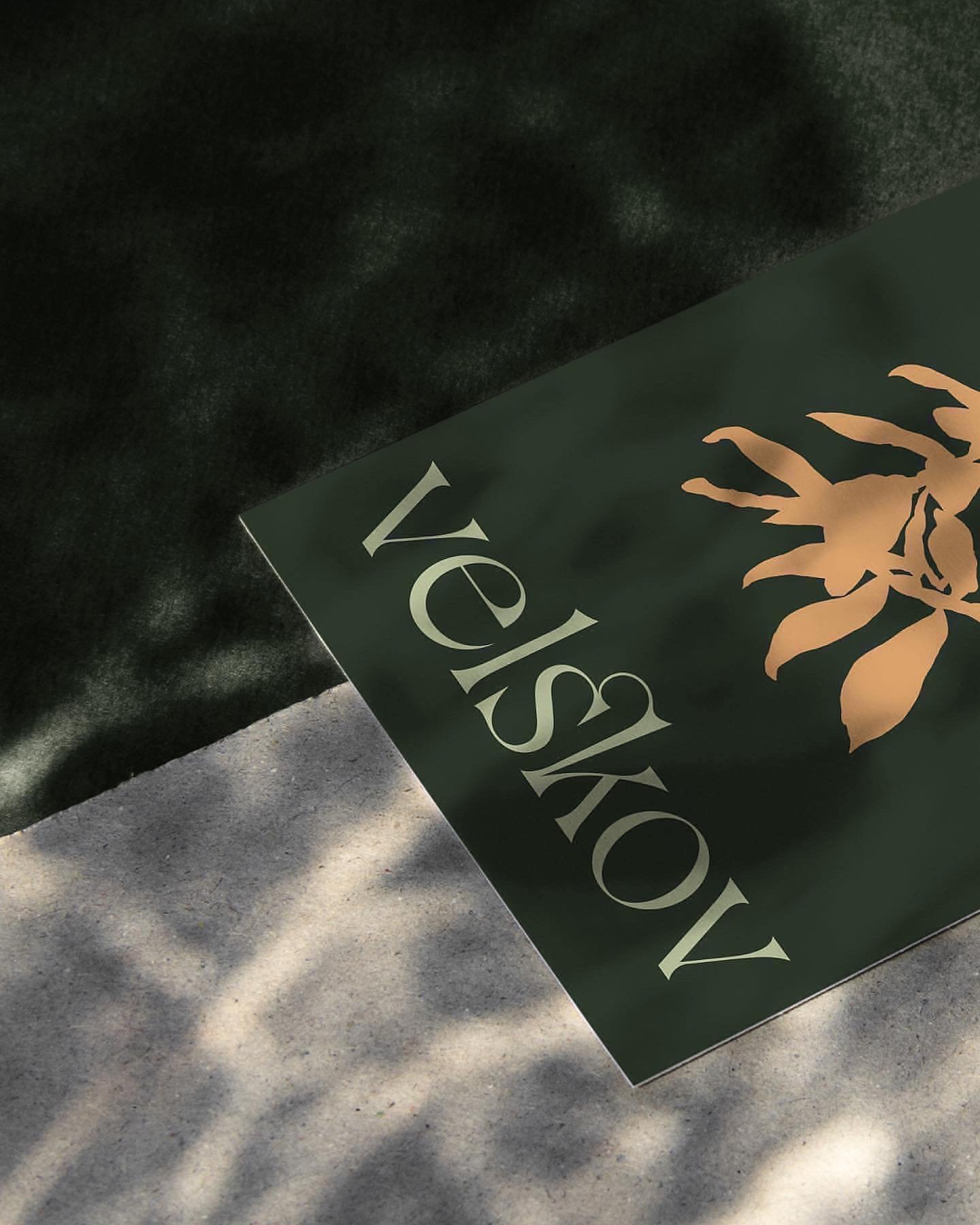 A new collaboration between Scandinavia and New Zealand: How to brand a forest?