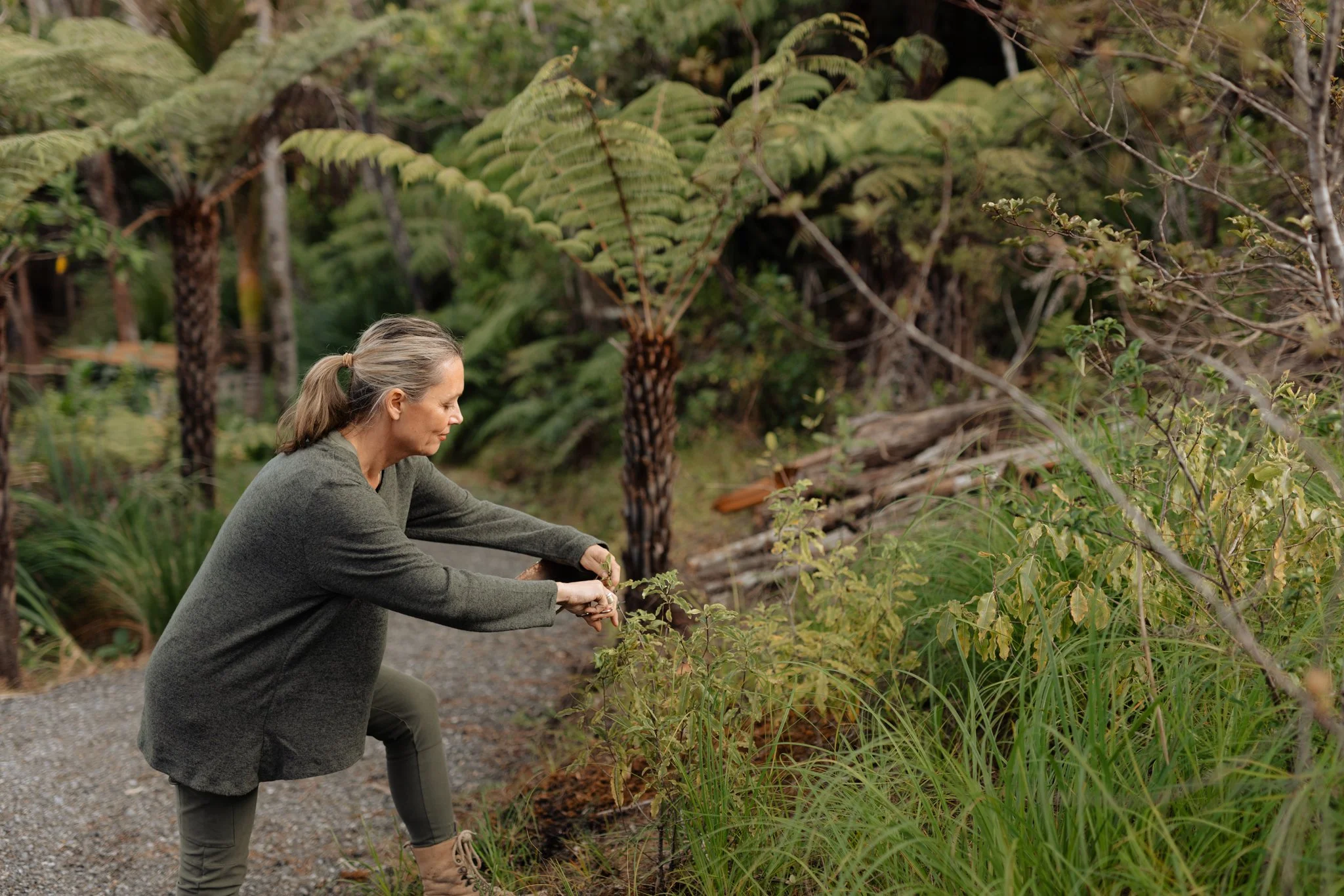 Velskov-foraging-180-mamakan.jpg