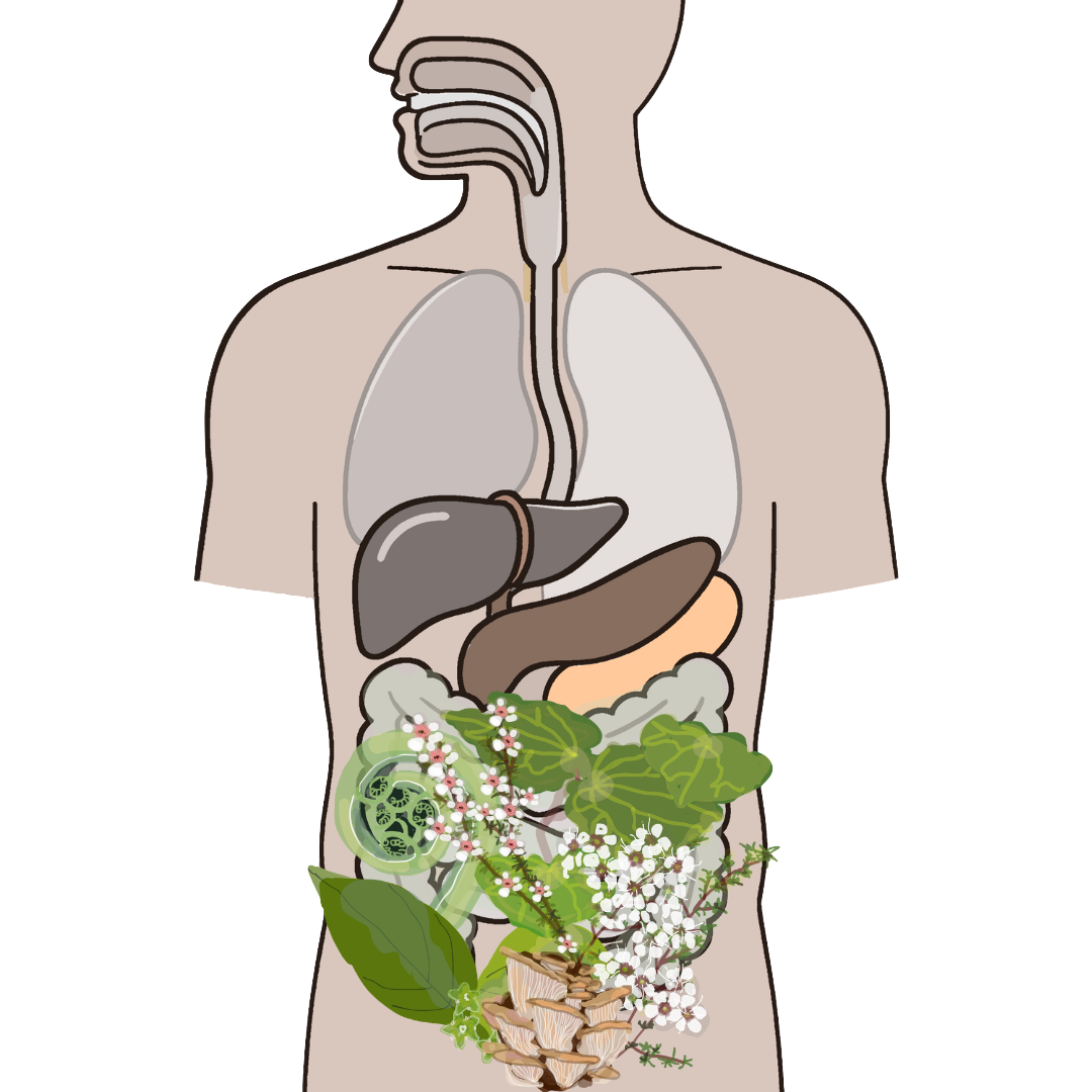 GastroEcology: A Dual Model for Human Metabolic Health and Native Land Restoration