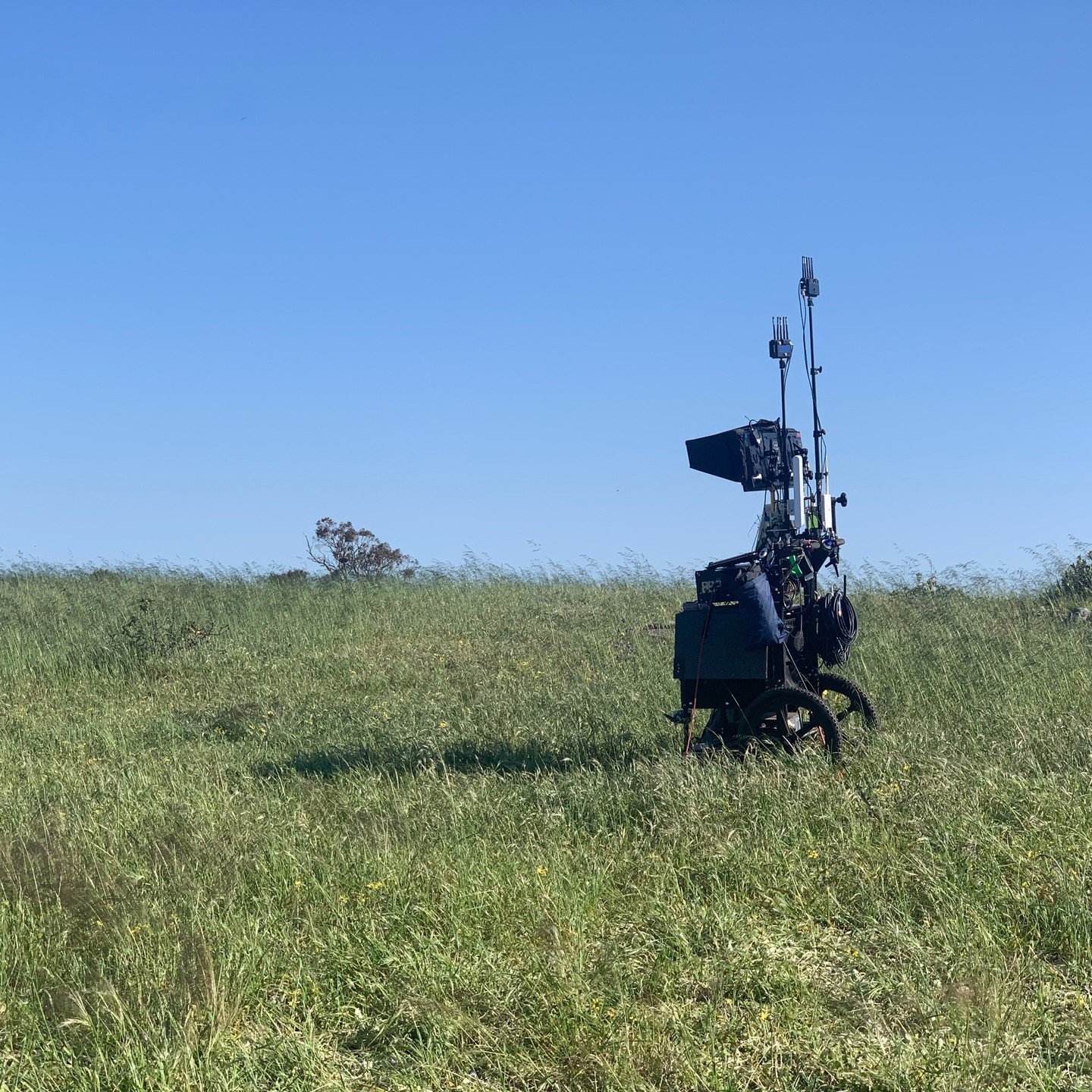 A Sunburnt Christmas, 2020, Every Cloud and Highview productions for @stanaustralia 

A lonely DIT trolley in a field, Shanks the Sheep in training as an assistant, and 1st AD @lancanyon in a chrismtas hat.

A team of three running @qtakehd onset, an