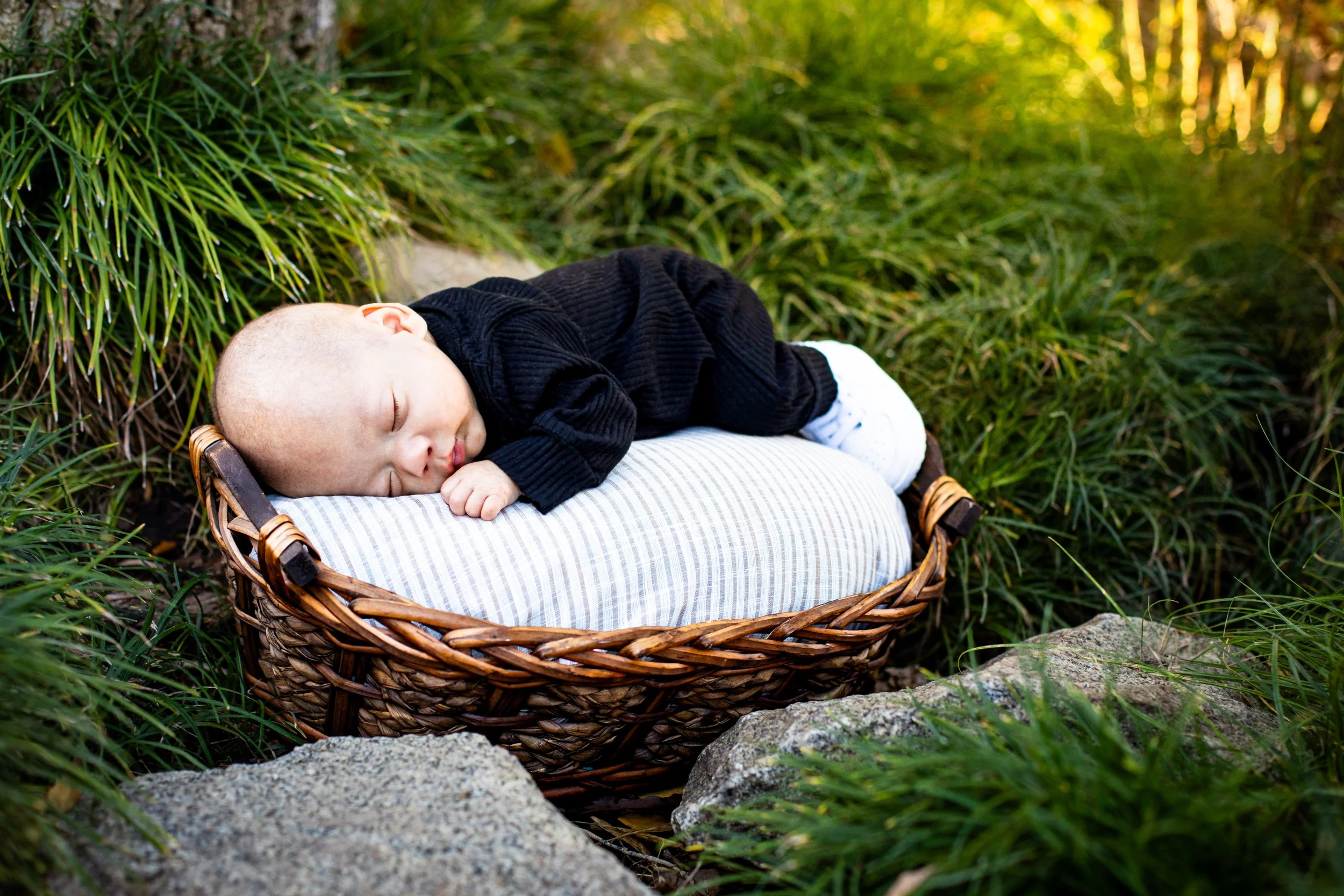 A baby lays in a basket at WPA Rock Garden during his outdoor newborn session. Photo taken by Sacramento Newborn Photographer Kristina Geddert