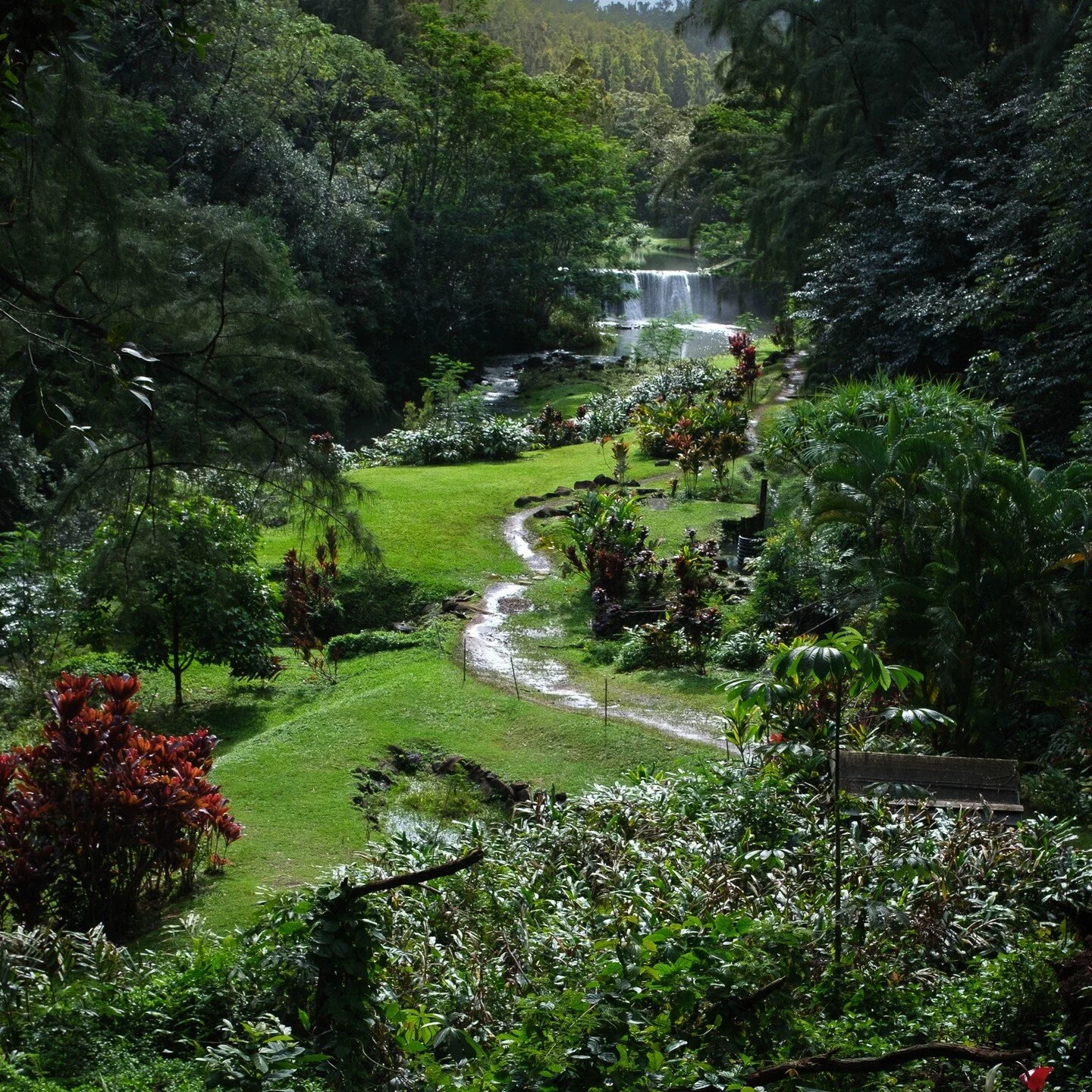 Even better on rainy days.