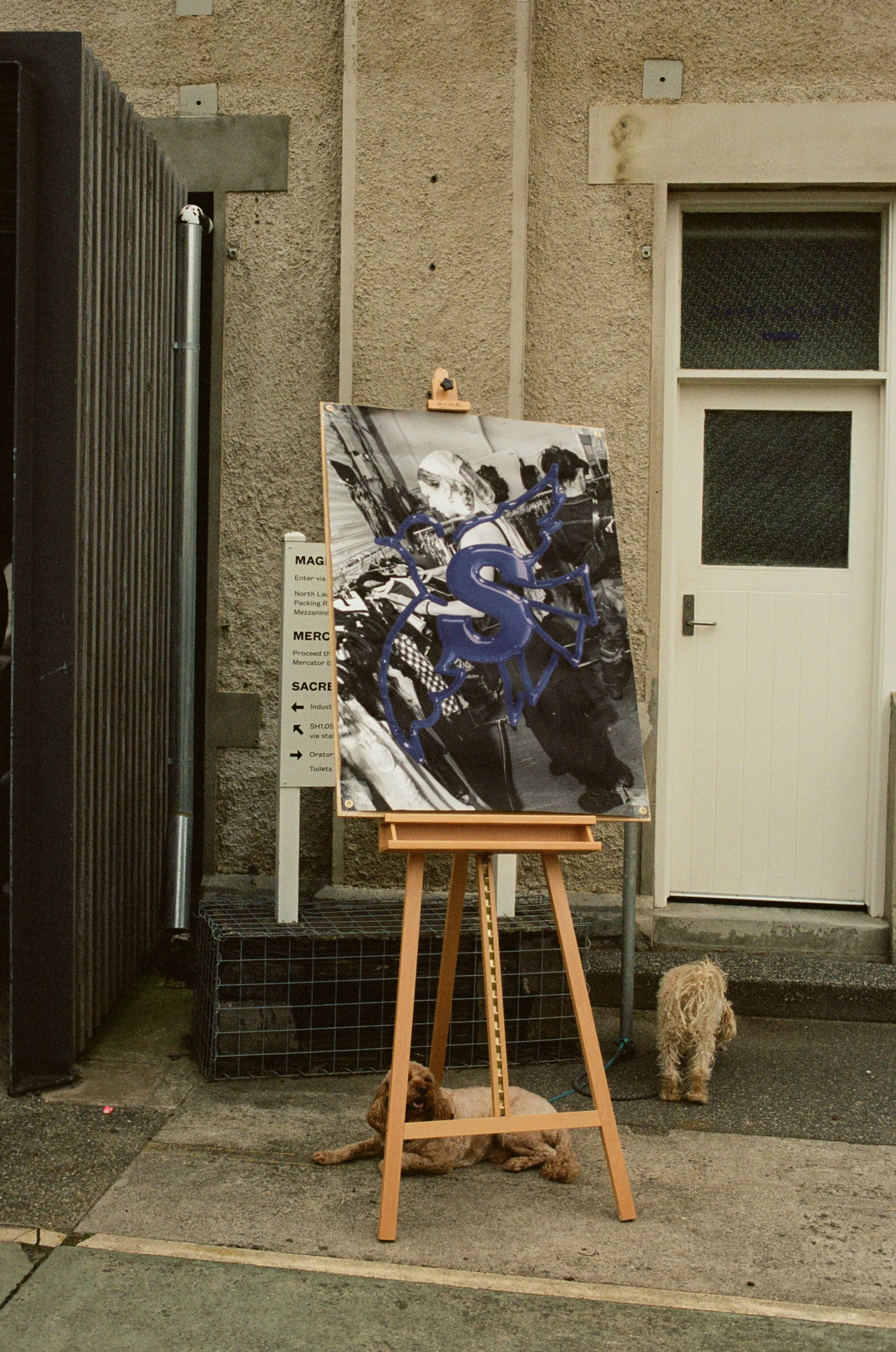 Image25.jpg
