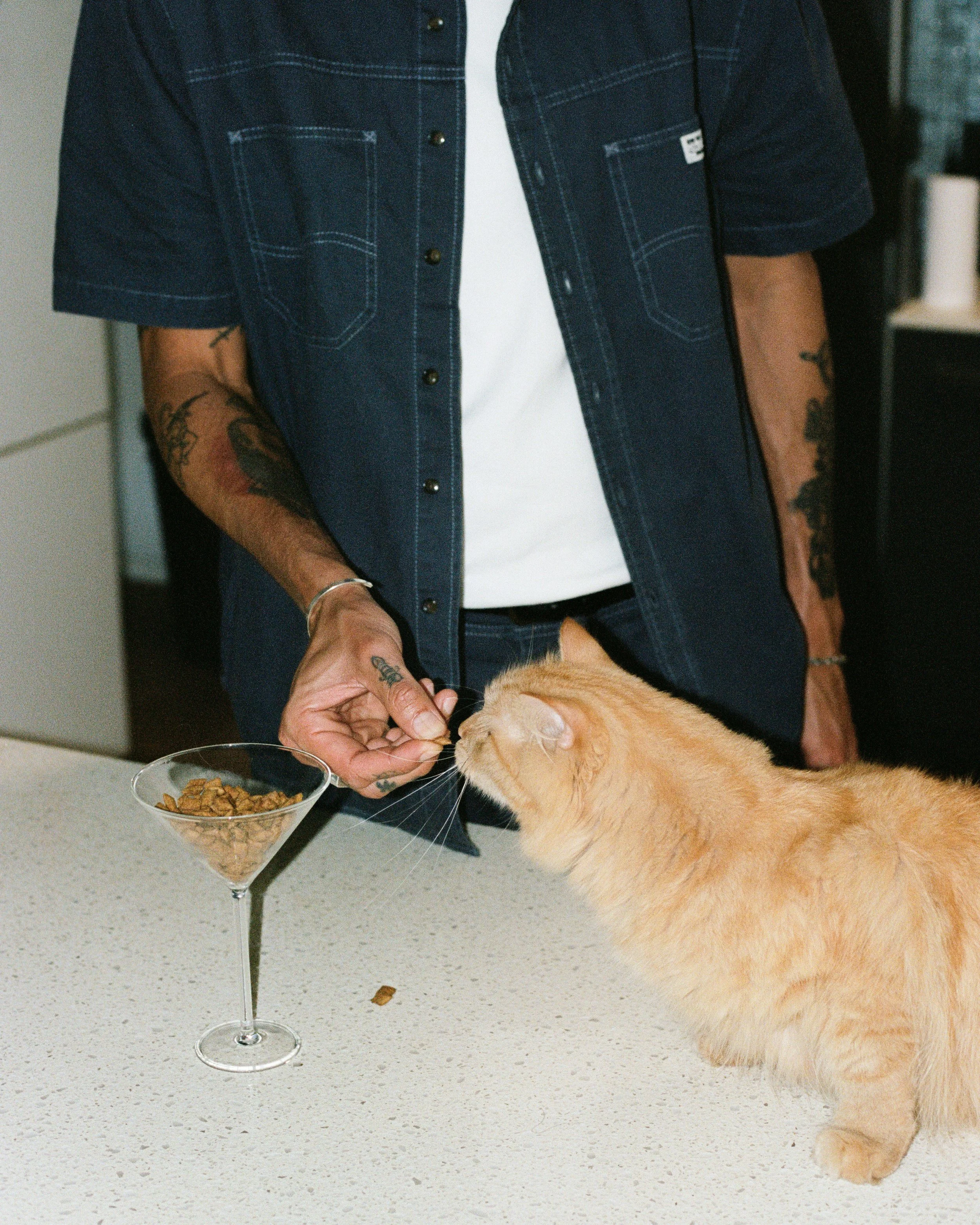 Image12.jpg