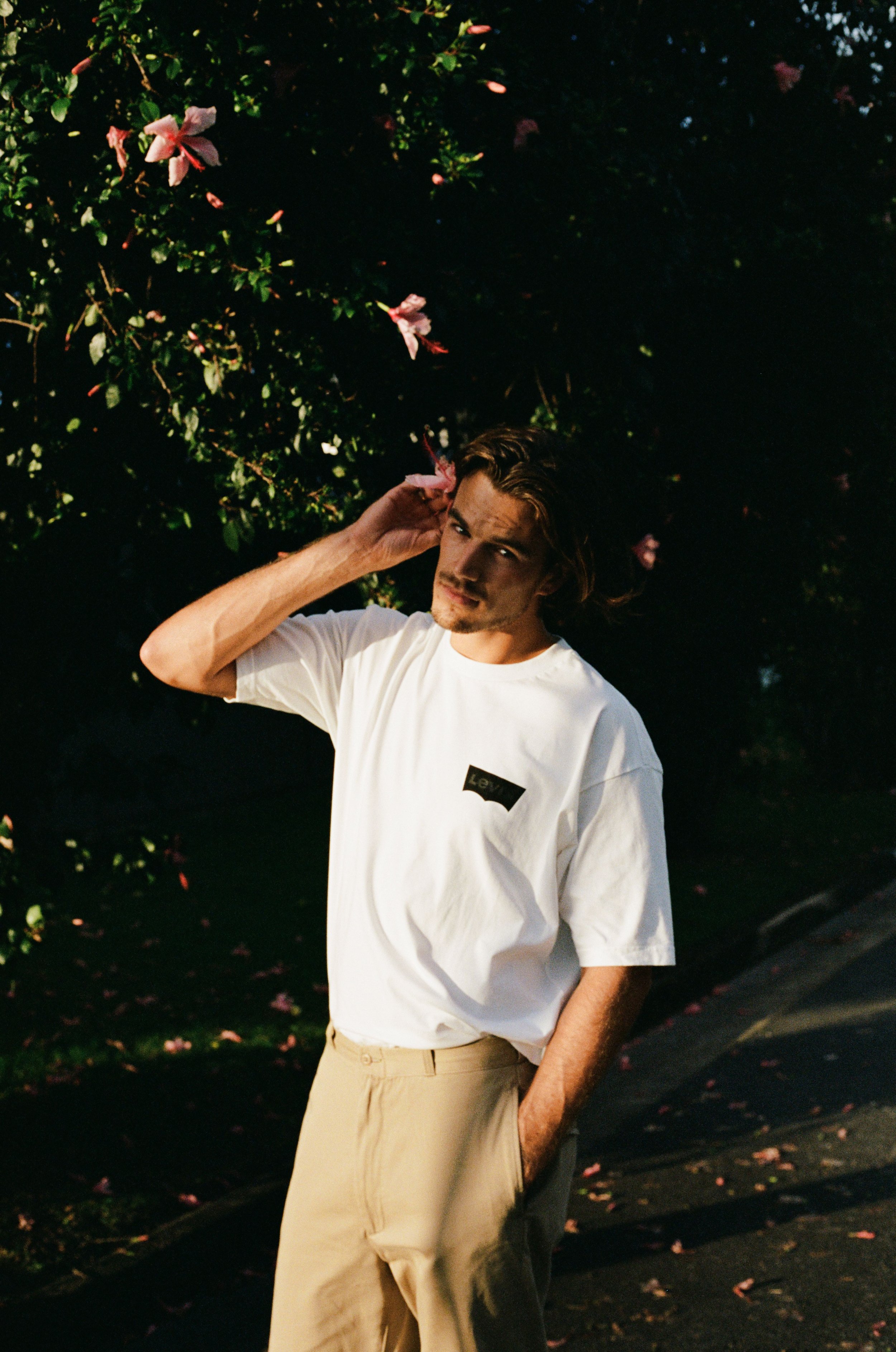 Image17.jpg