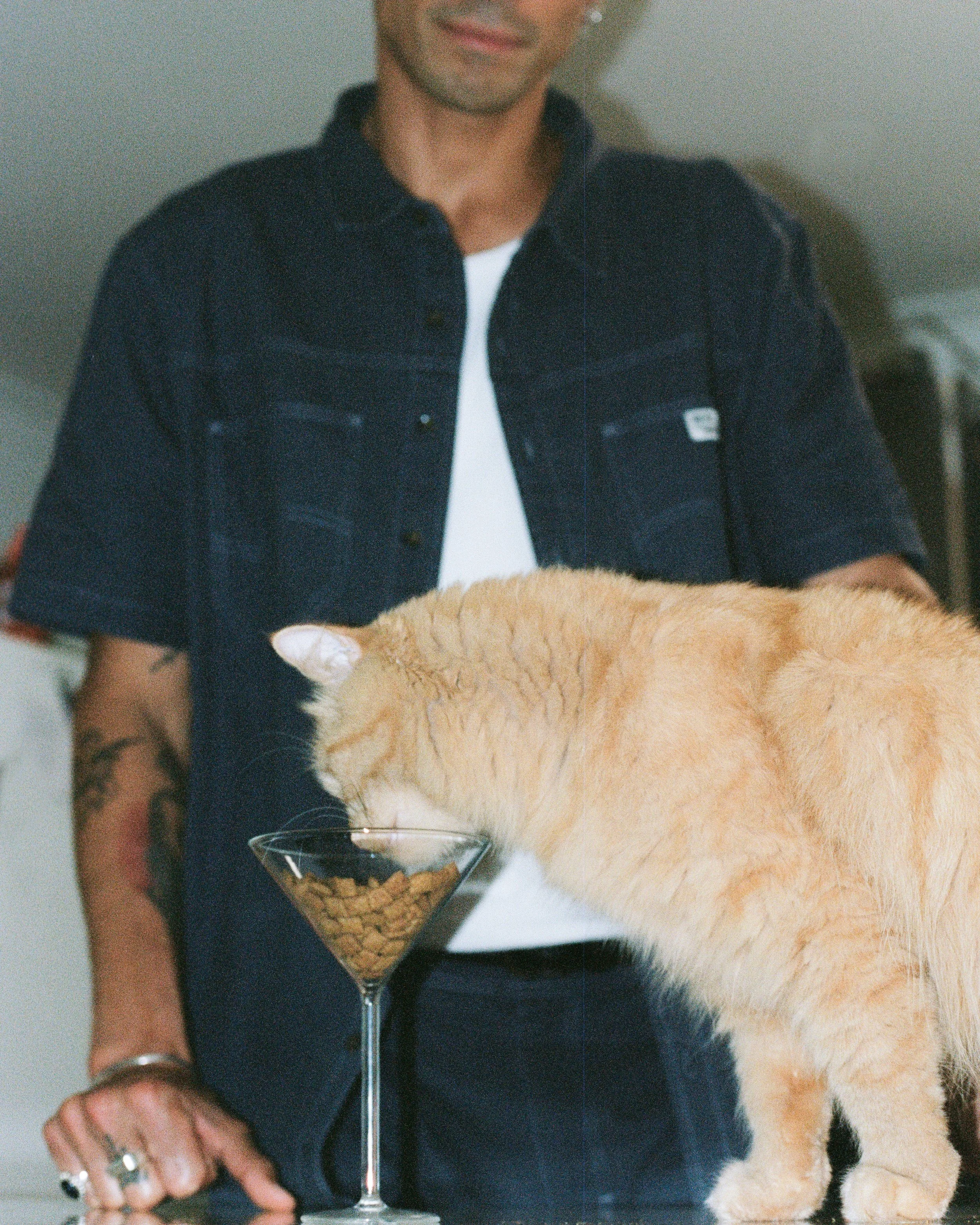 Image08.jpg