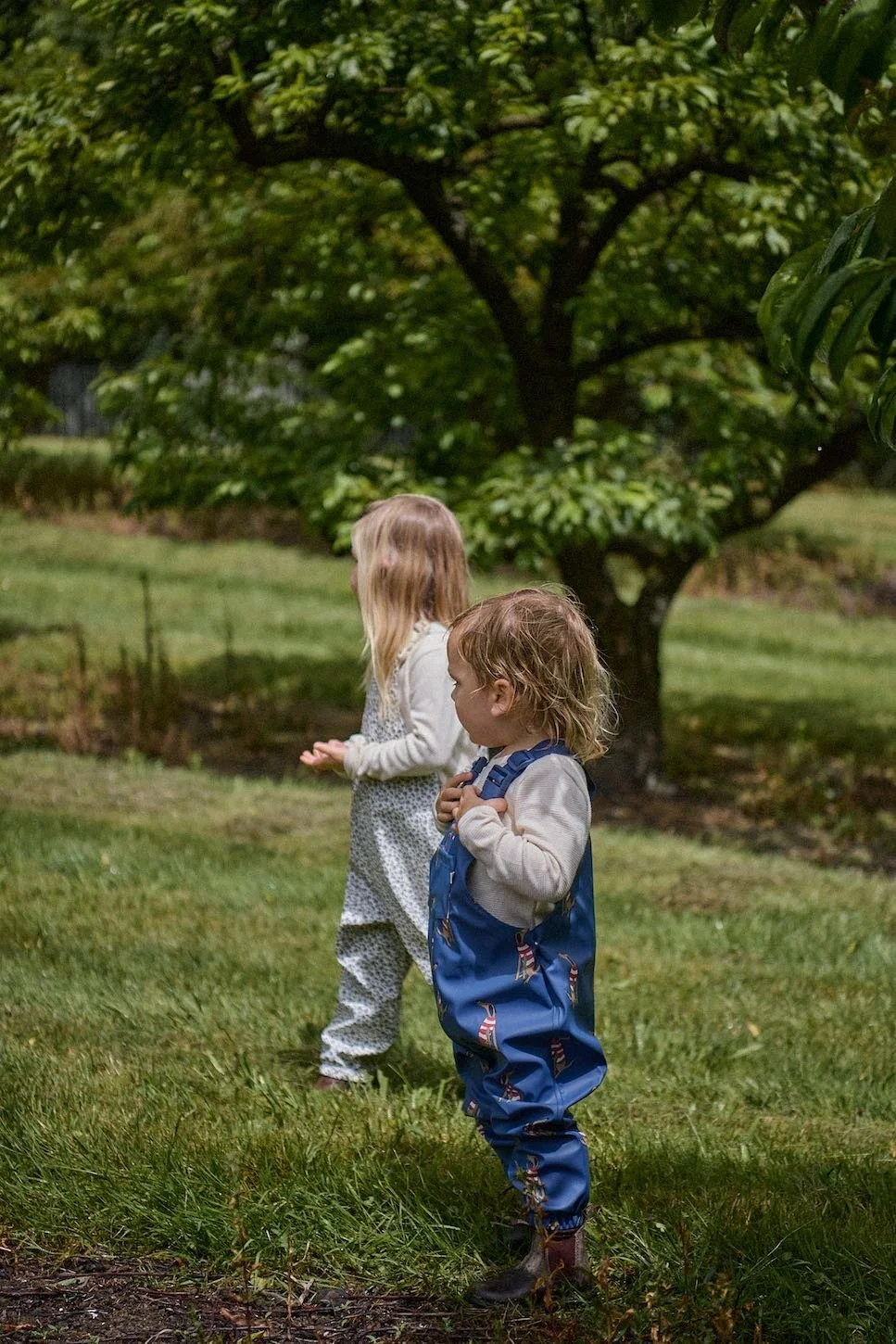 W26_BriarwoodBlooms-04-Poppy Teddy Plum Parents_5536.jpg