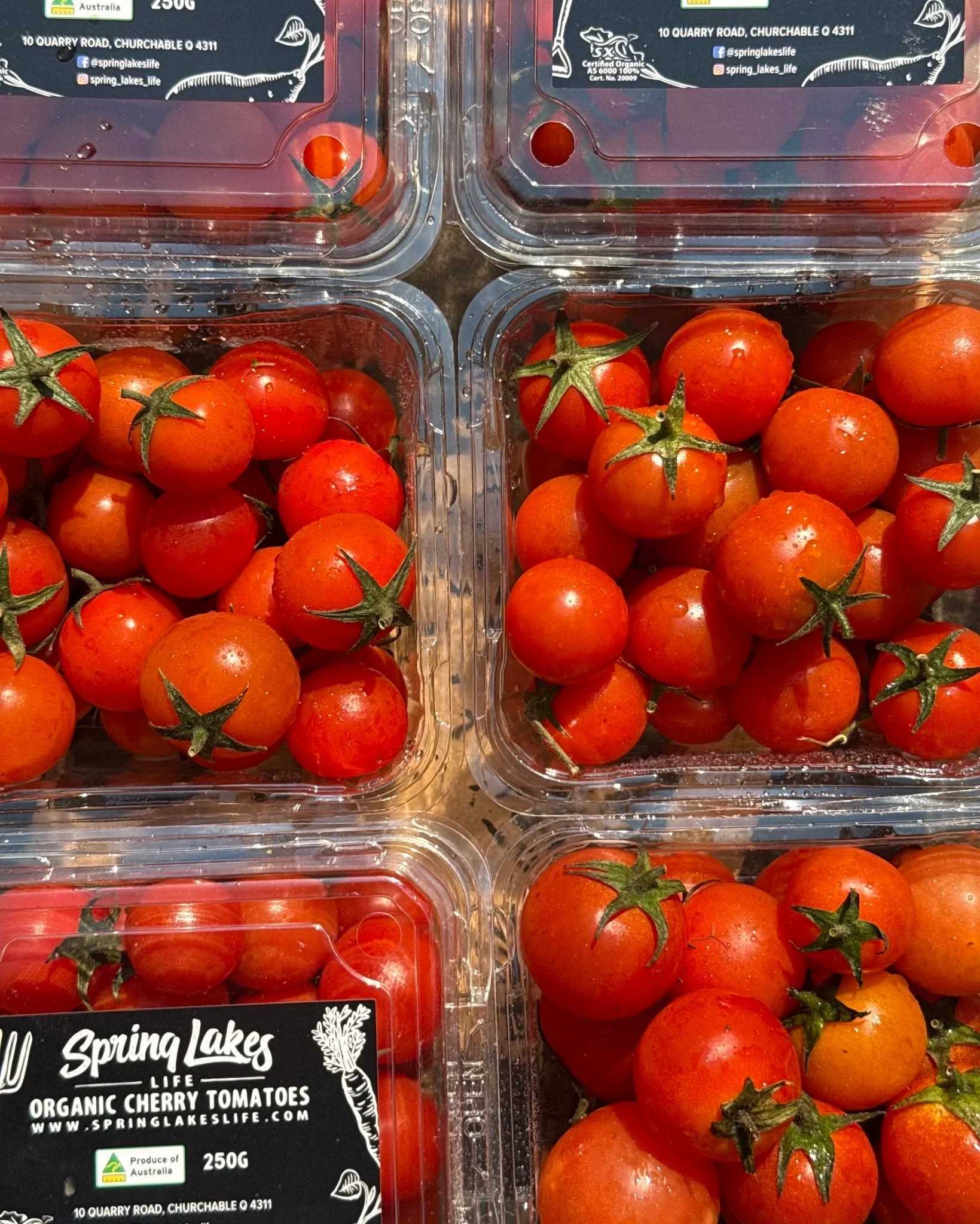 Spring Lakes Farm is a family owned certified organic farm in Queensland’s Lockyer Valley. Since 2013 they have been growing fresh chemical free produce using sustainable regenerative practices, nurturing soil, protecting biodiversity and creat