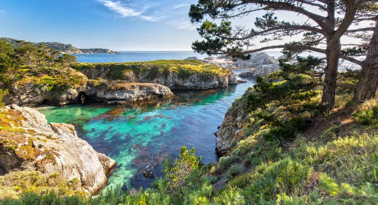 Point-Lobos-california.jpeg