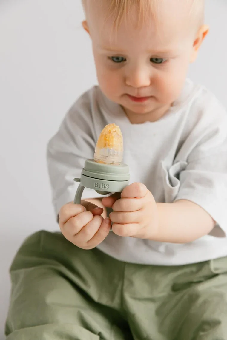 baby-feeder-sage-2034890.webp