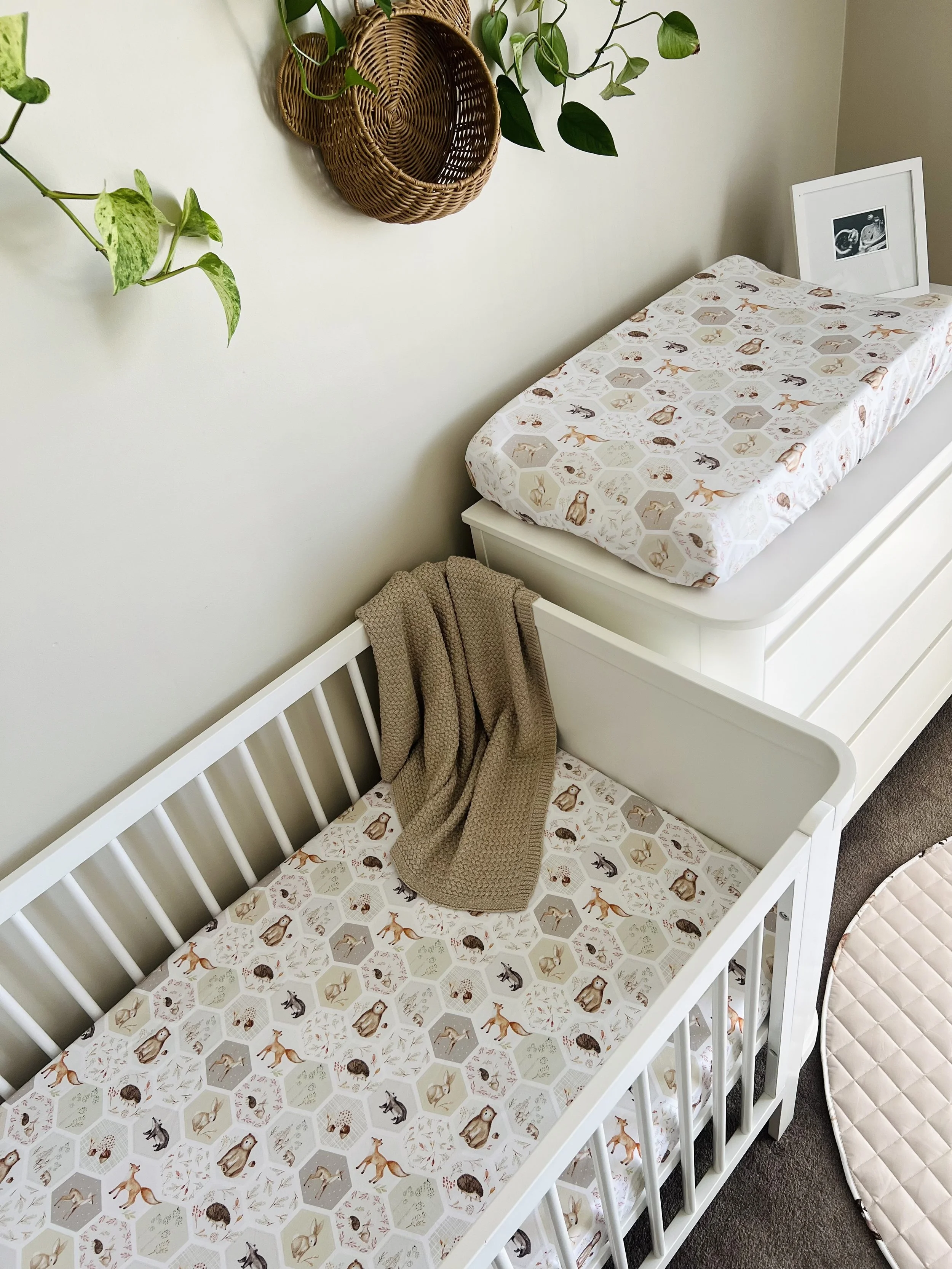 Cuddle Bug and Co Wholesale Baby prodcuts perth  (1).jpeg