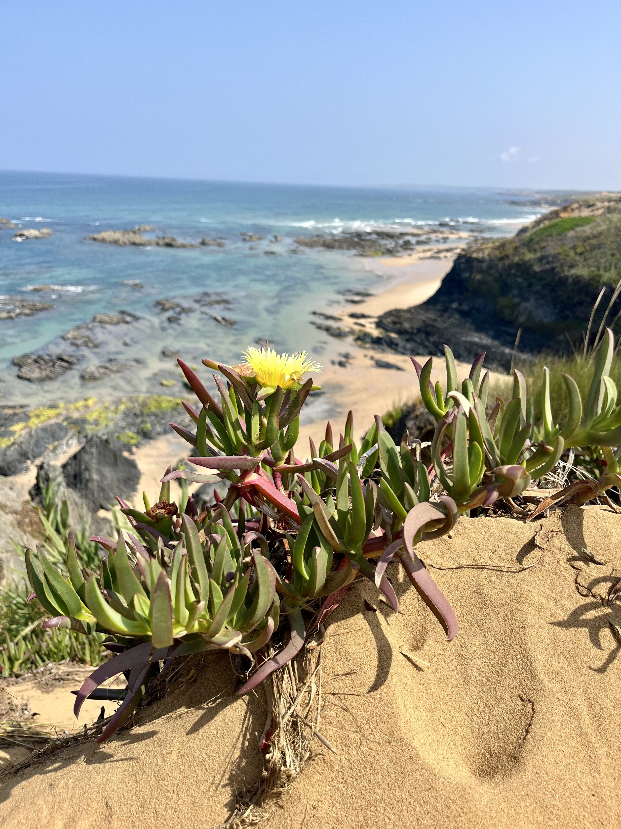 Retreat Portugal_25.jpg