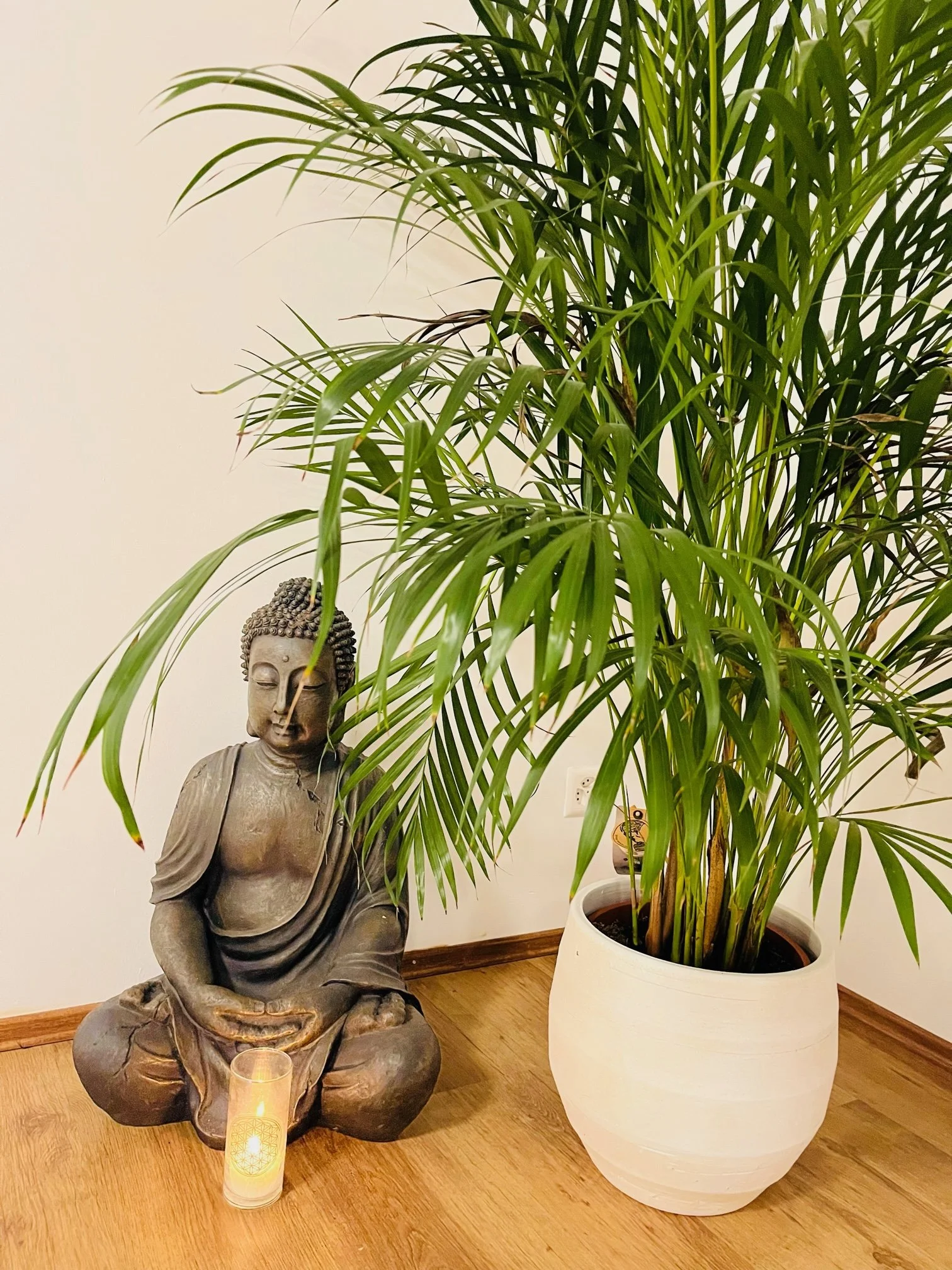 Buddhafigur aus Stein steht neben einer Pflanze