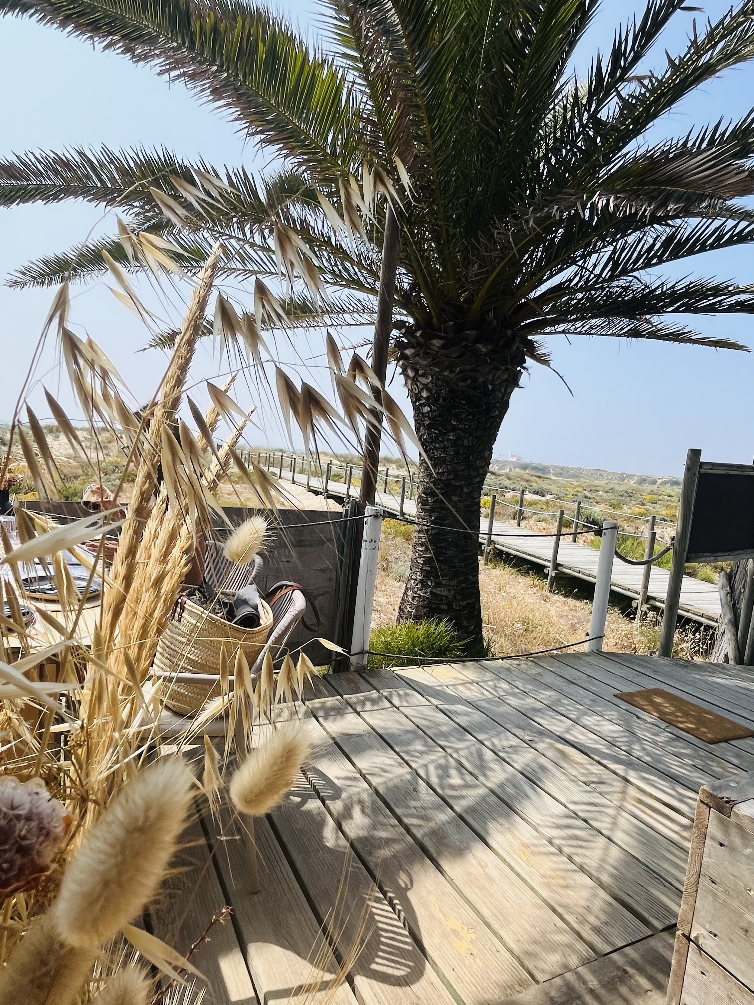 Retreat Portugal_27.jpg