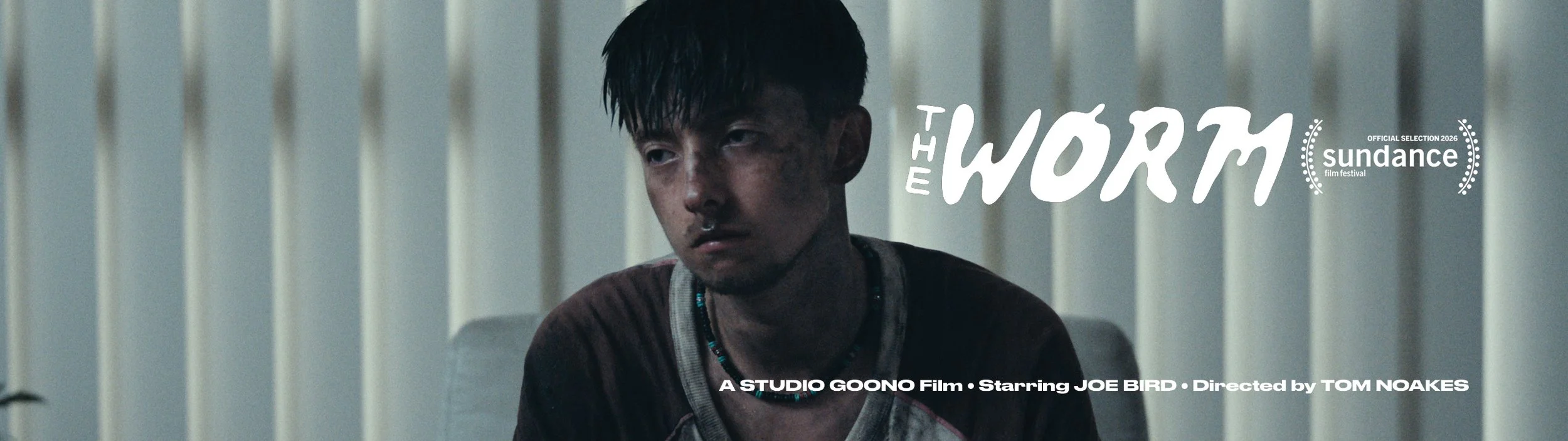 Web Banner V2_With Sundance Text.jpg