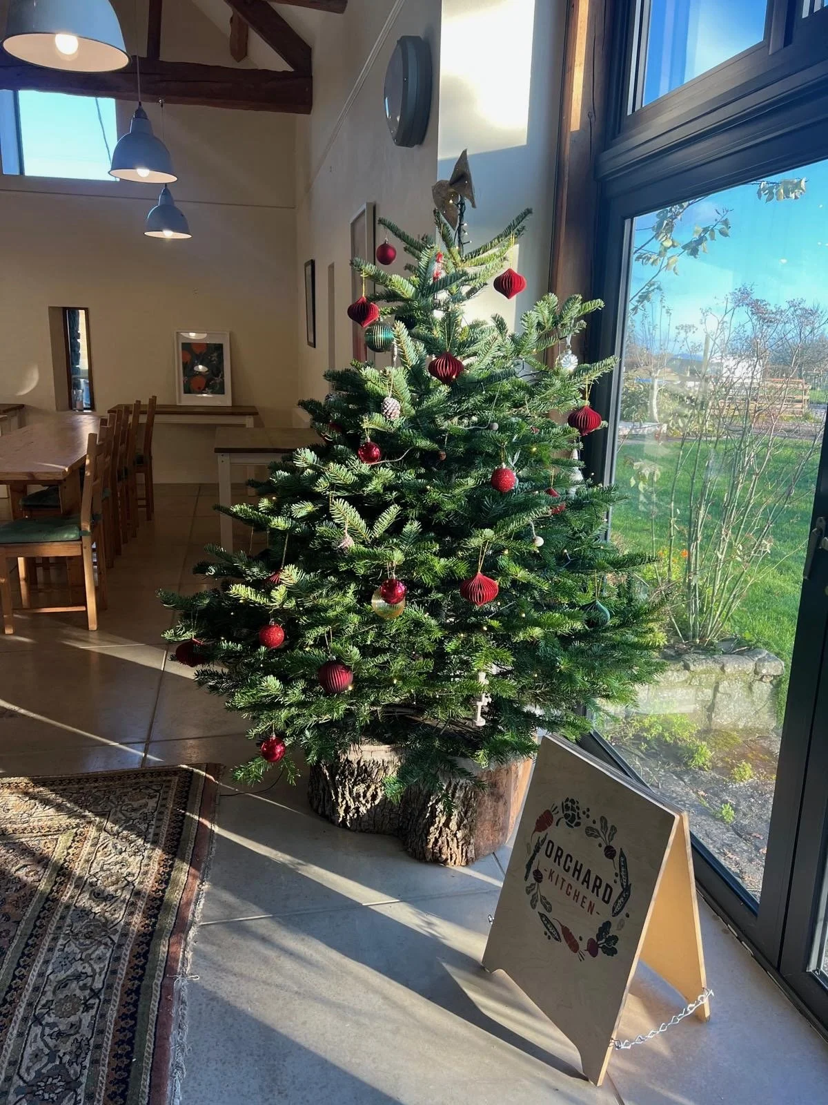 PHOTO-2025-11-25-16-13-42 4.jpeg