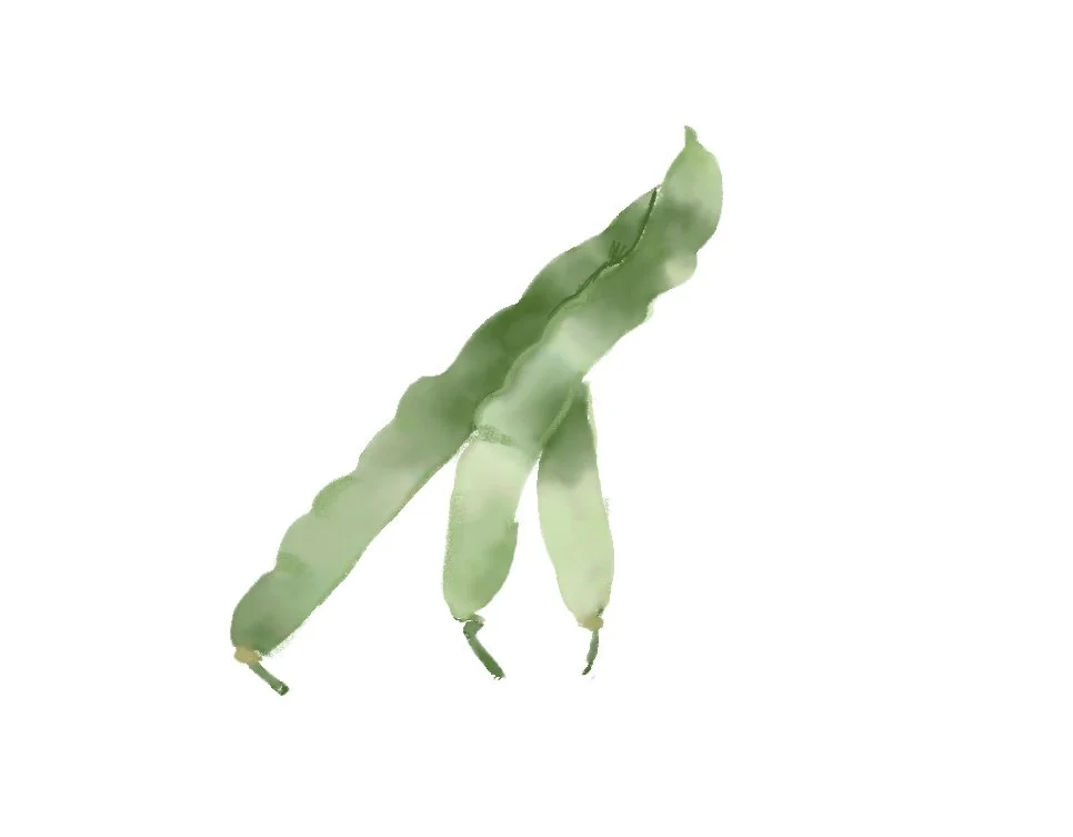 WP_greenbeans.jpg