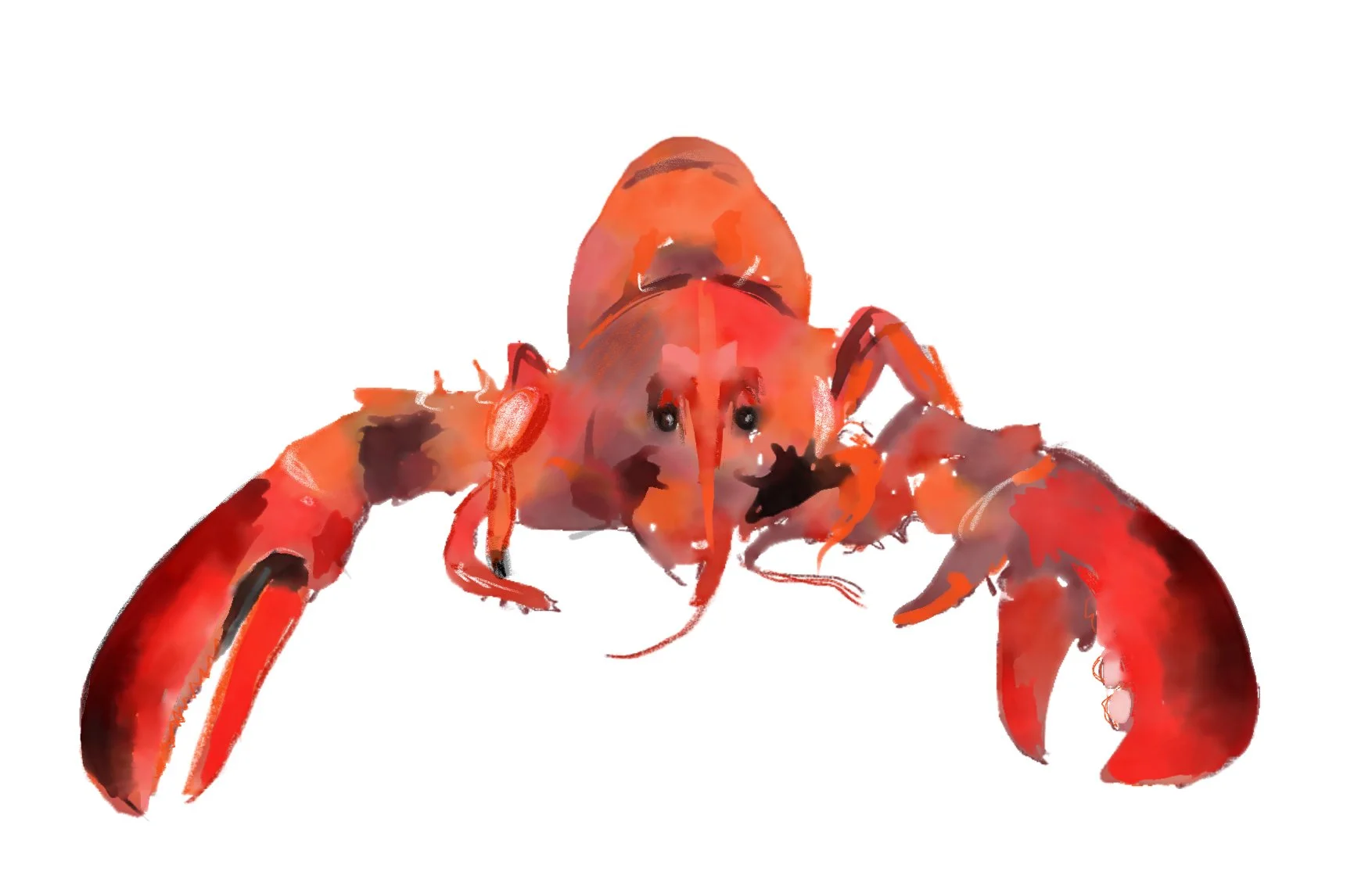 WP_lobster.jpg
