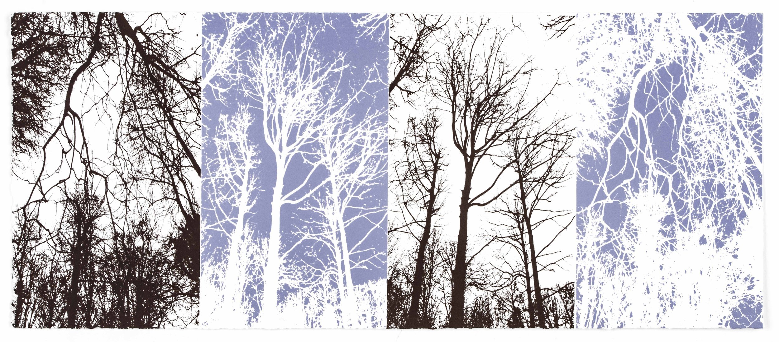 TREES, ERDDIG