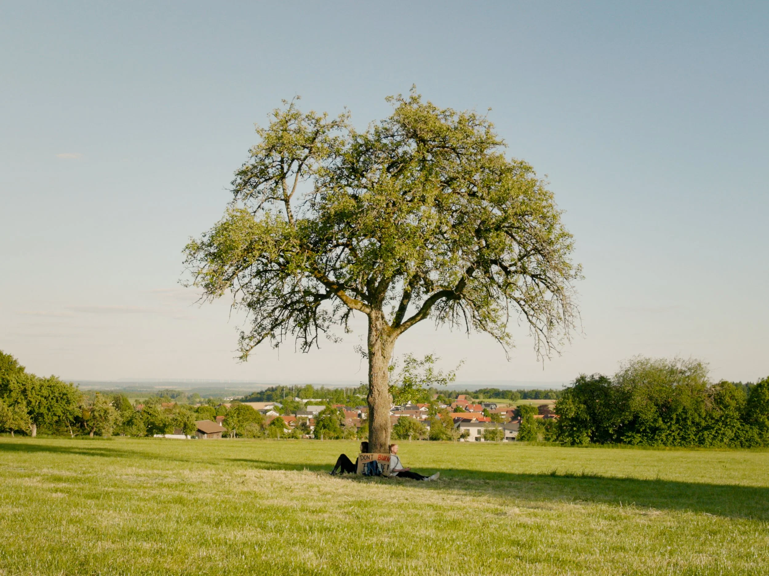 Still 2025-05-13 154032_2.5.1.jpg