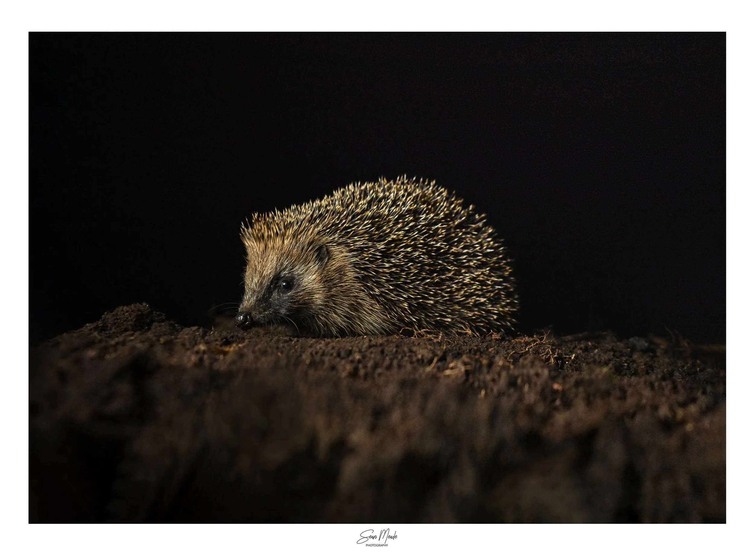finished Hedge Post.jpg
