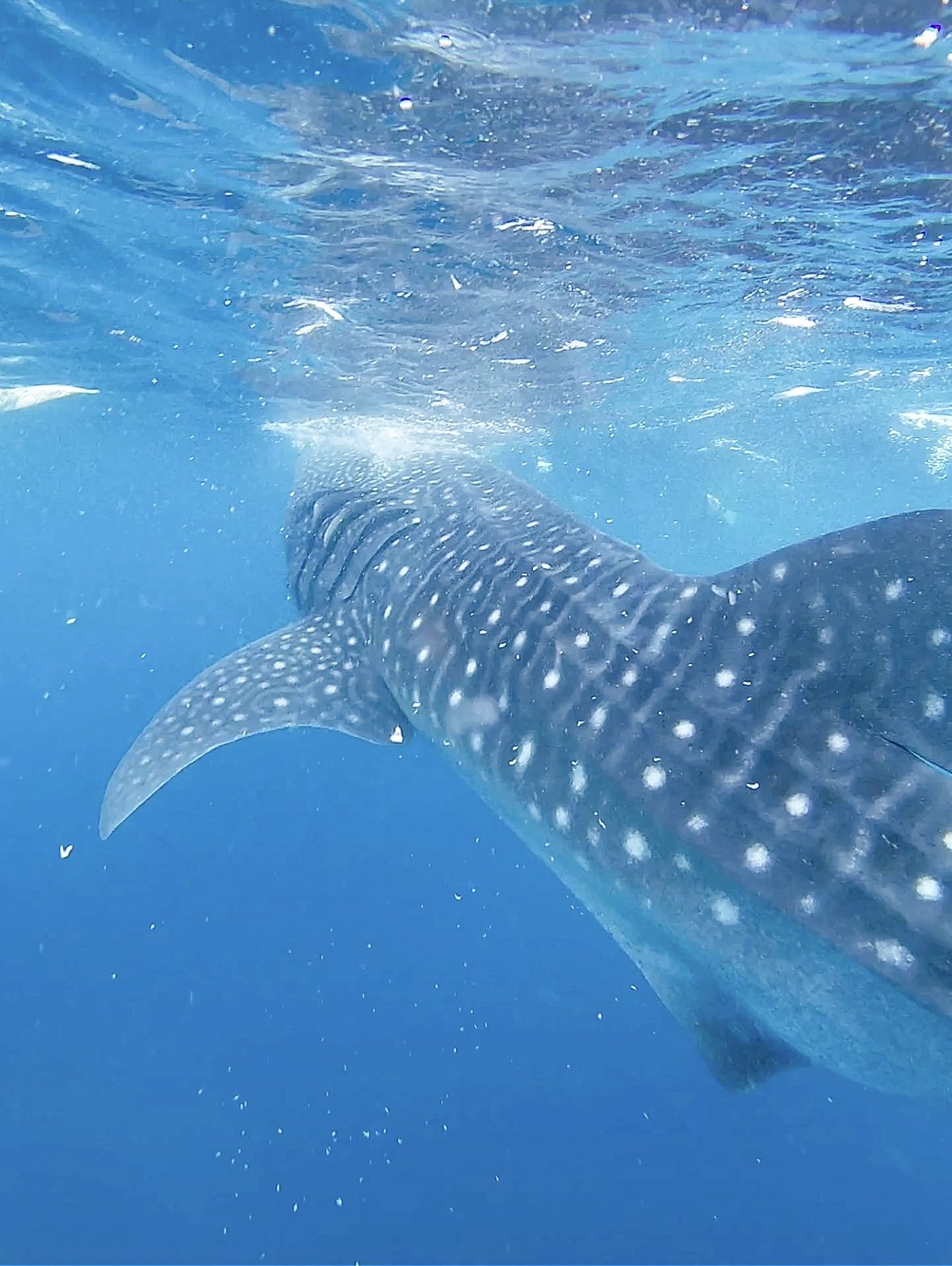 Philippines