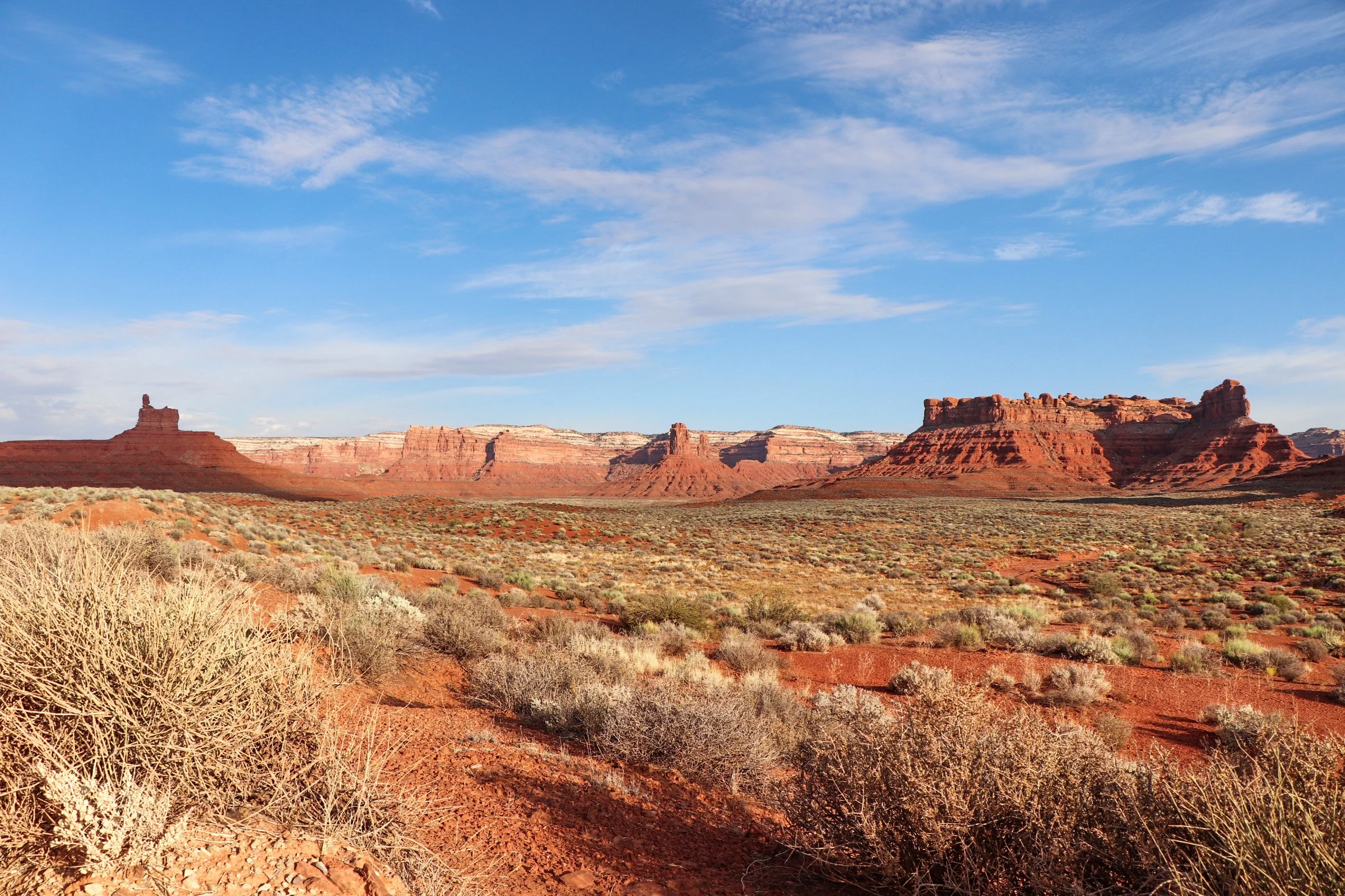 Fracking Wars: The Role of Activism