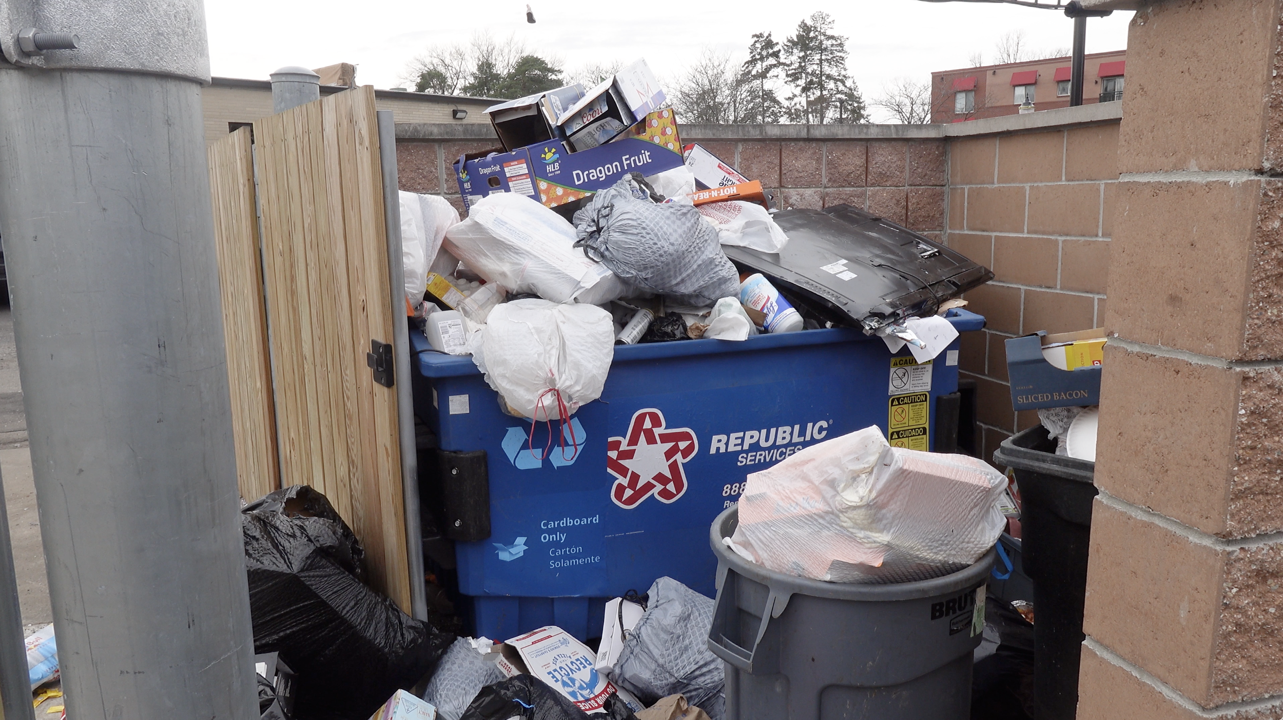 Michigan Law to Recycle the Recycling System