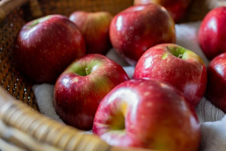 Beyond Accessibility: The constant effort for Michigan to improve school meal quality