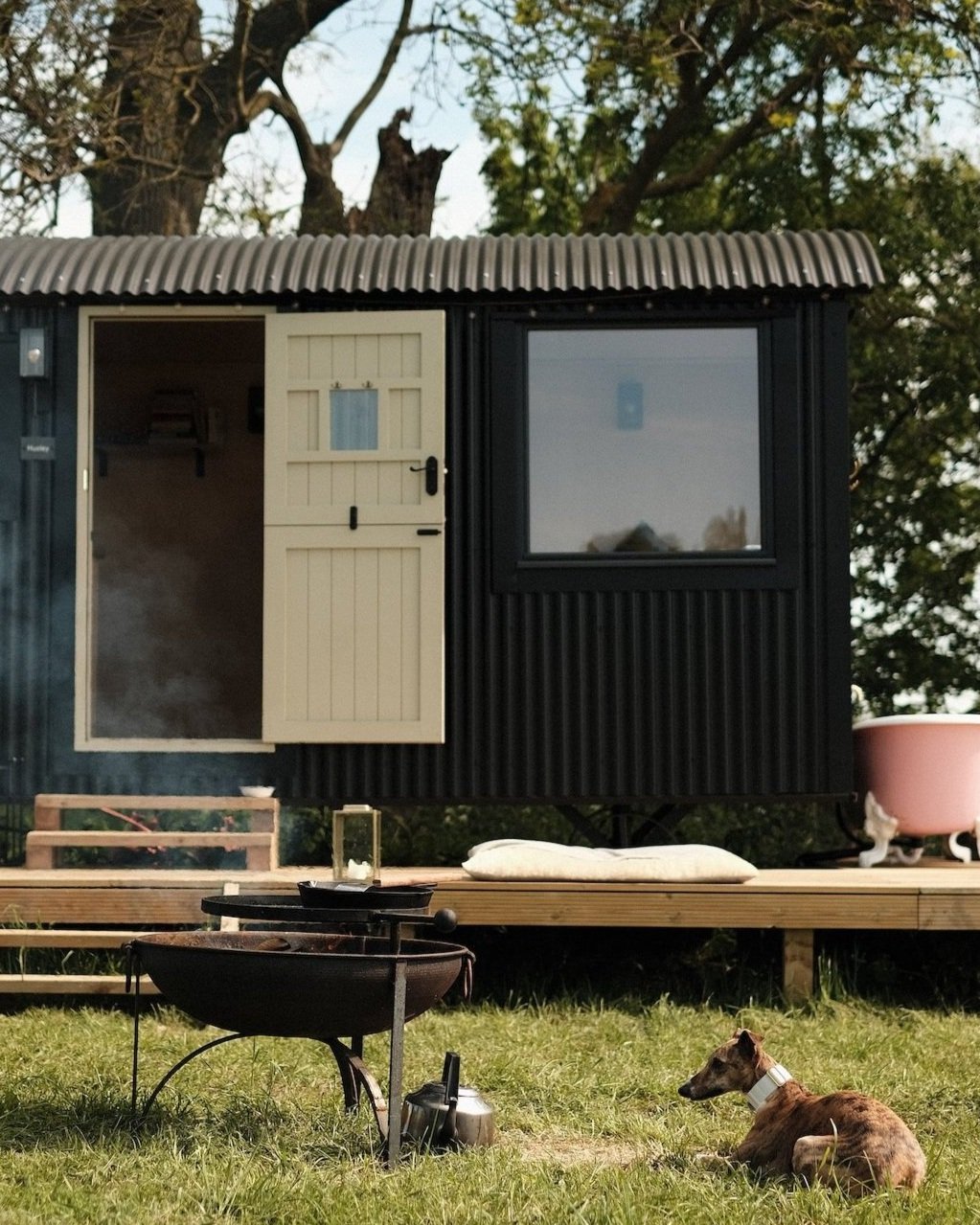 Fat Pheasants Shepherd Huts | Adventures with Tails | Lolly the Whippet