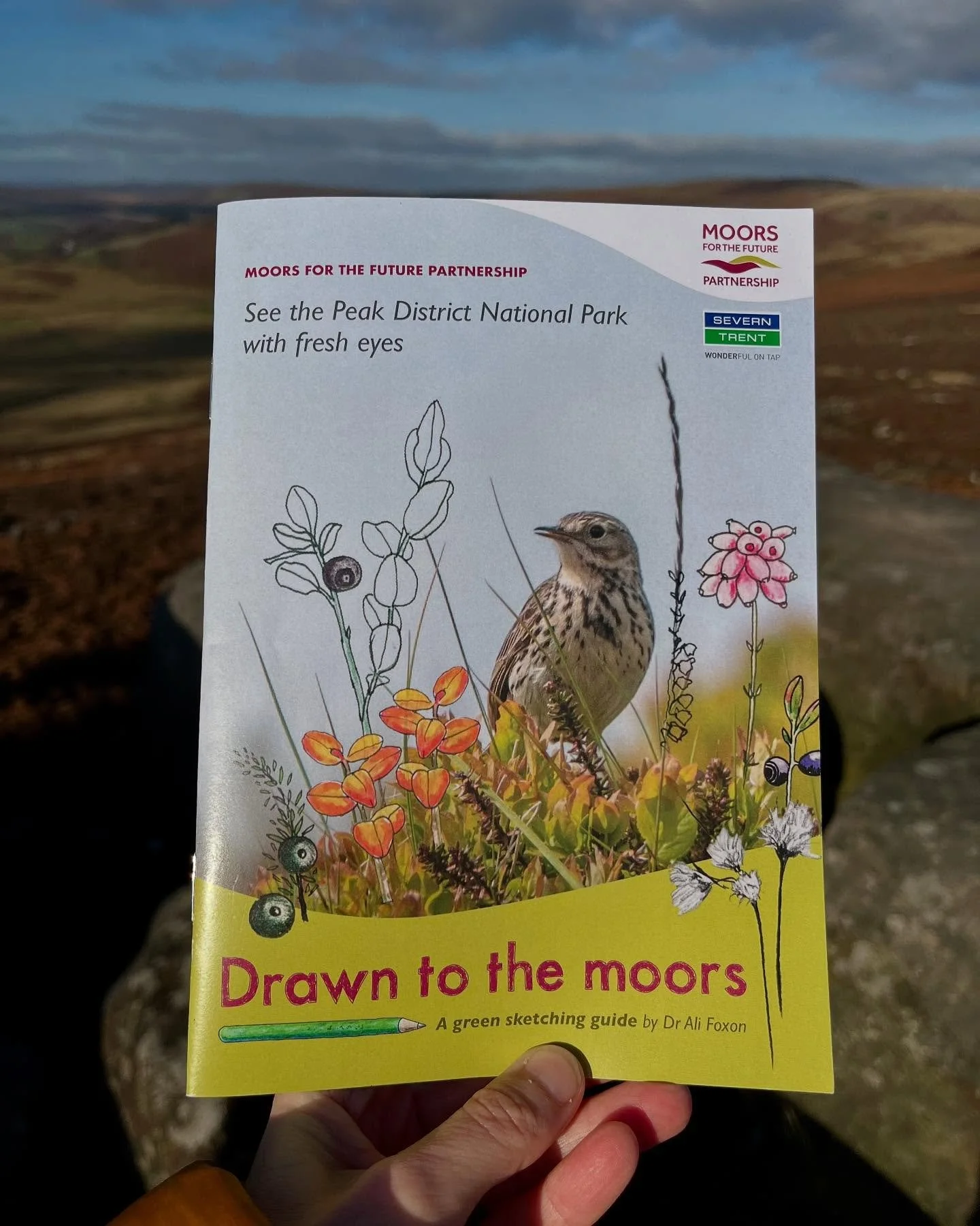 Try #greensketching at the National Trust&rsquo;s Longshaw Estate today, one of my absolute favourite places in the Peak District. @peakdistrictnt 

@moorsforthefuture Moors for the Future are running a free event there today using the green sketchin