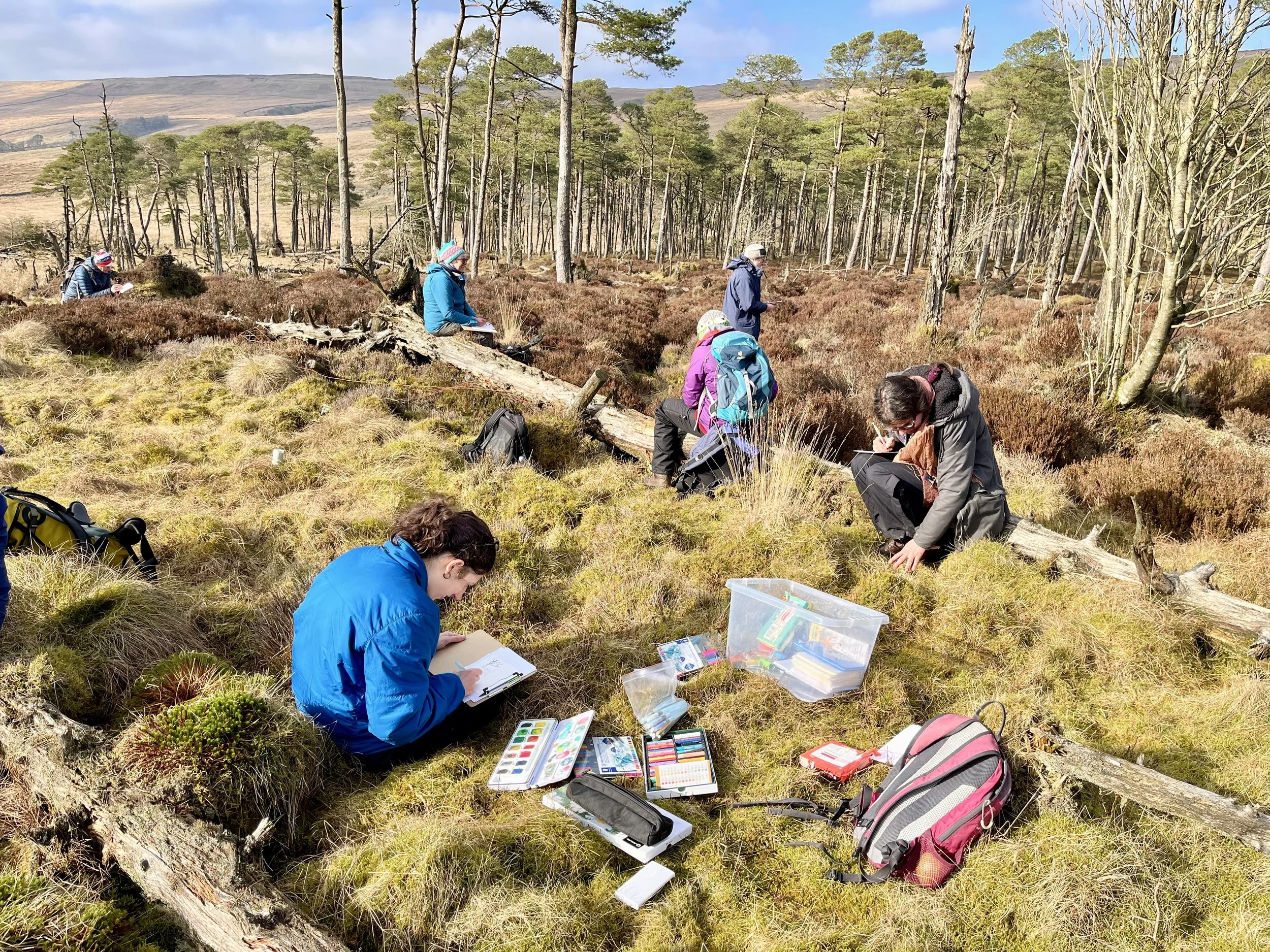 Seeing Nethergill with Fresh Eyes