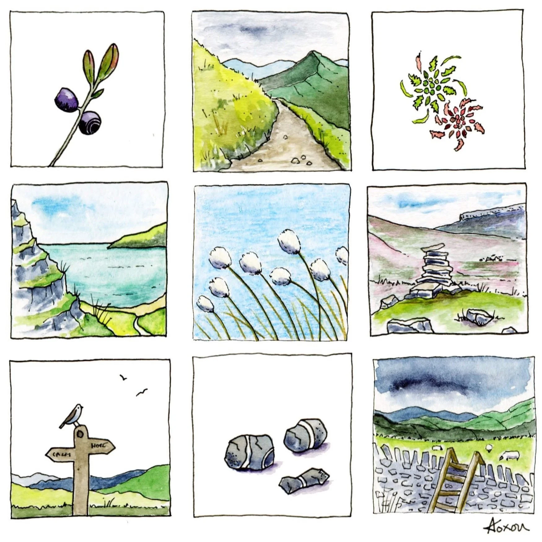 Foxon doodles_TRAIL.jpg