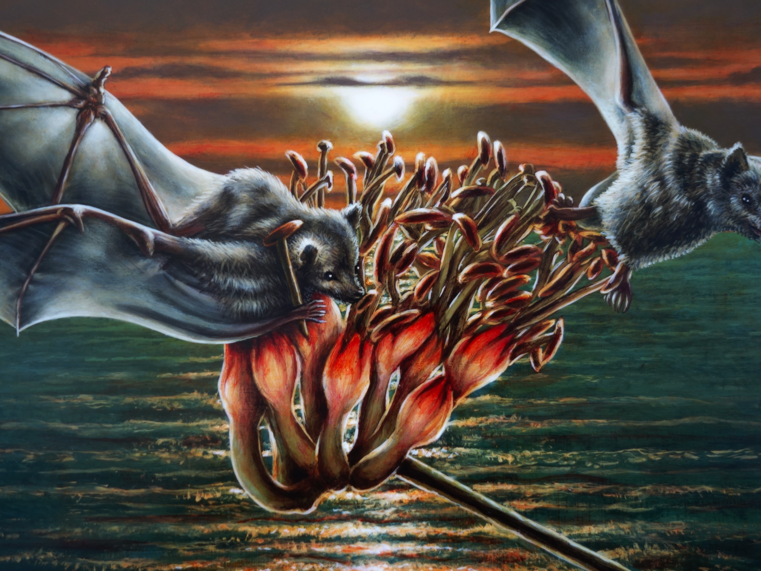 "The Garden Of Hypnos"