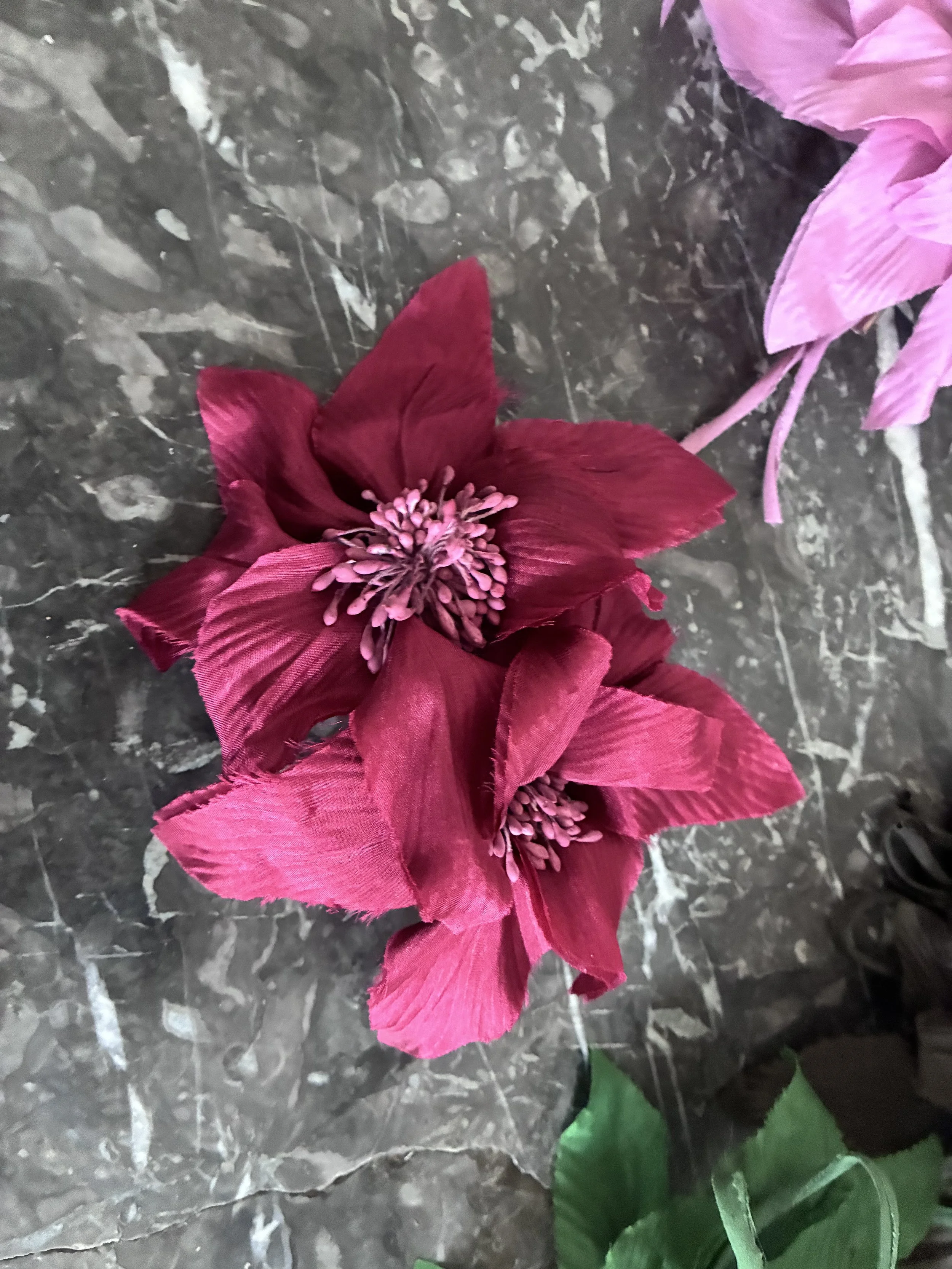 IMG_2086.jpeg