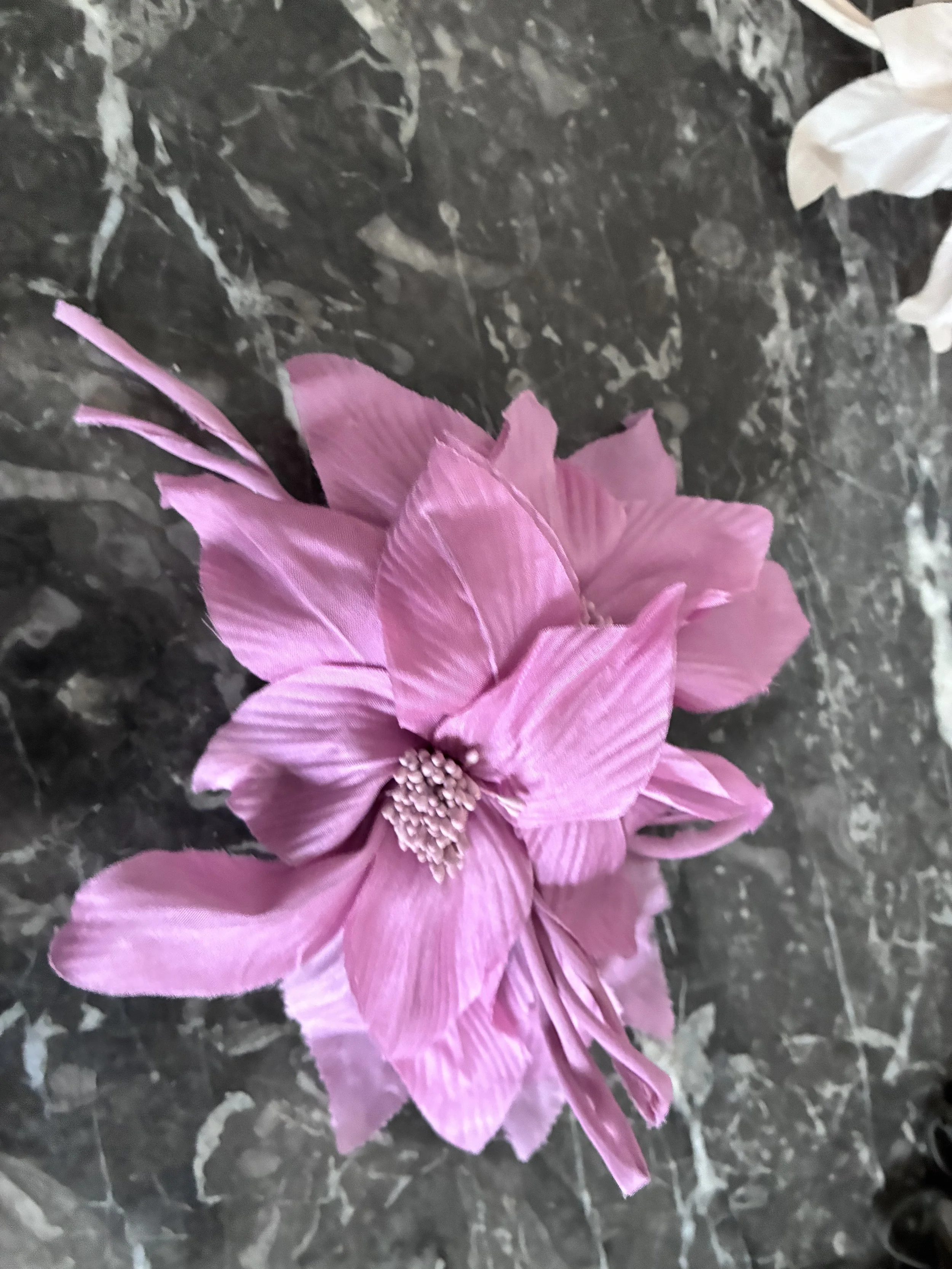 IMG_2087.jpeg