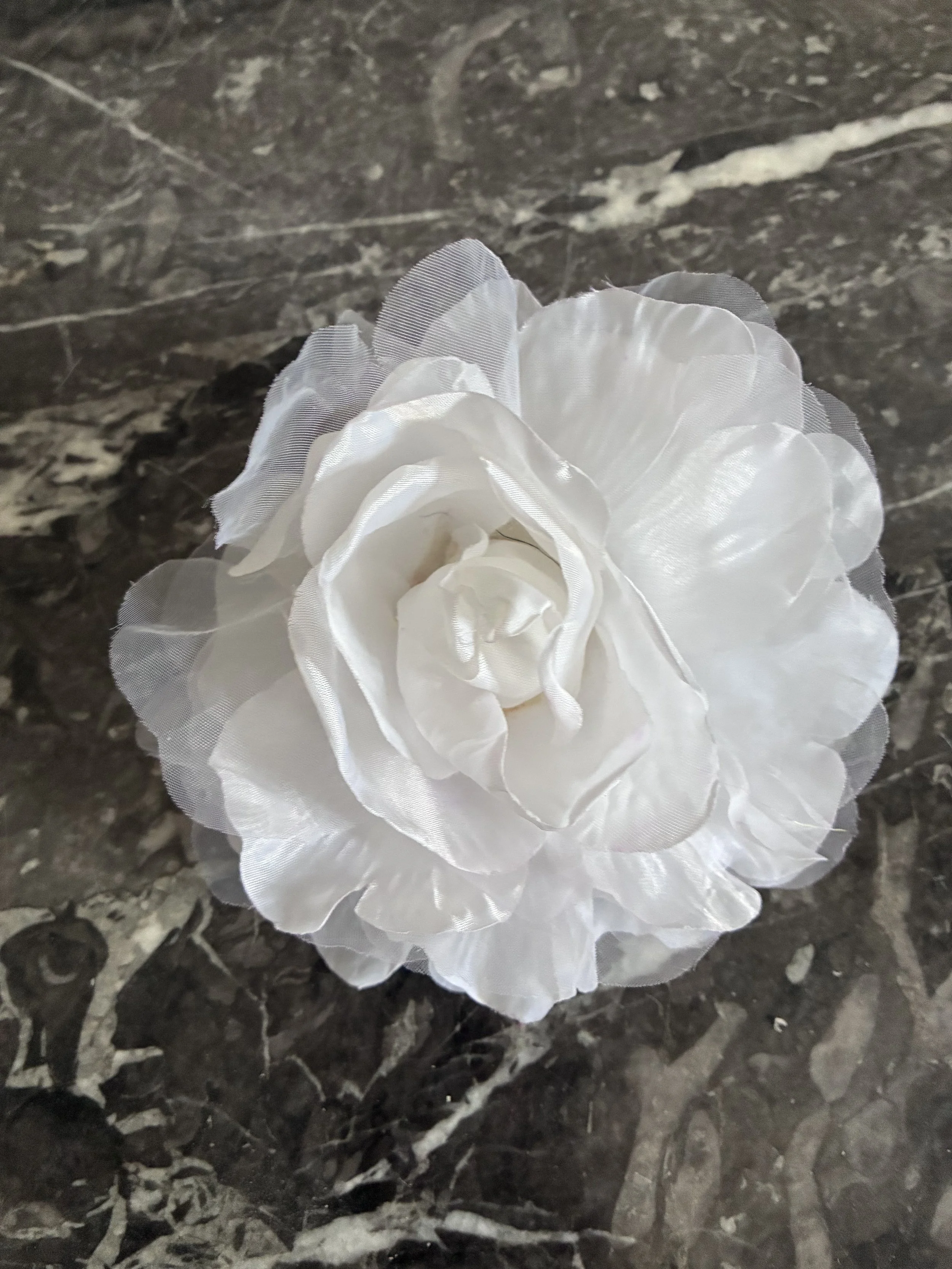 IMG_2103.jpeg