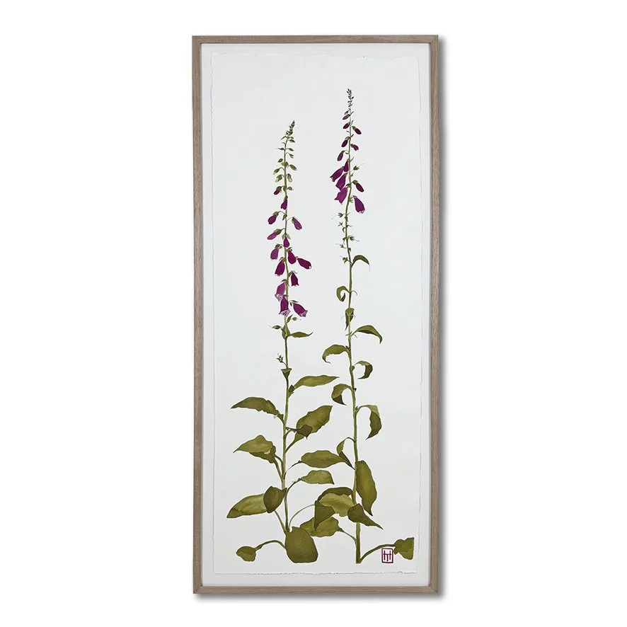 Henny June Pewsey Vale_Foxglove large_LR.jpg