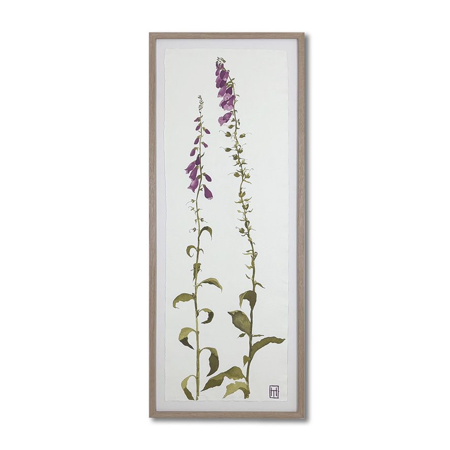 Henny June Pewsey Vale_Foxglove small_LR.jpg