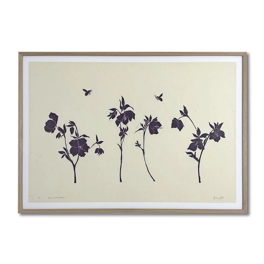 Hellebores & Insects