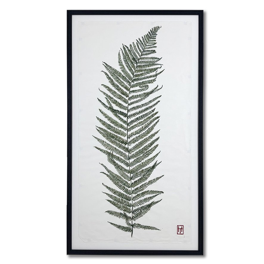 Henny June Pewsey Vale_Fern2_LR.jpg