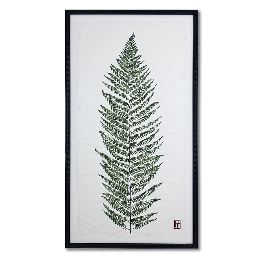 Henny June Pewsey Vale_Fern1_LR.jpg