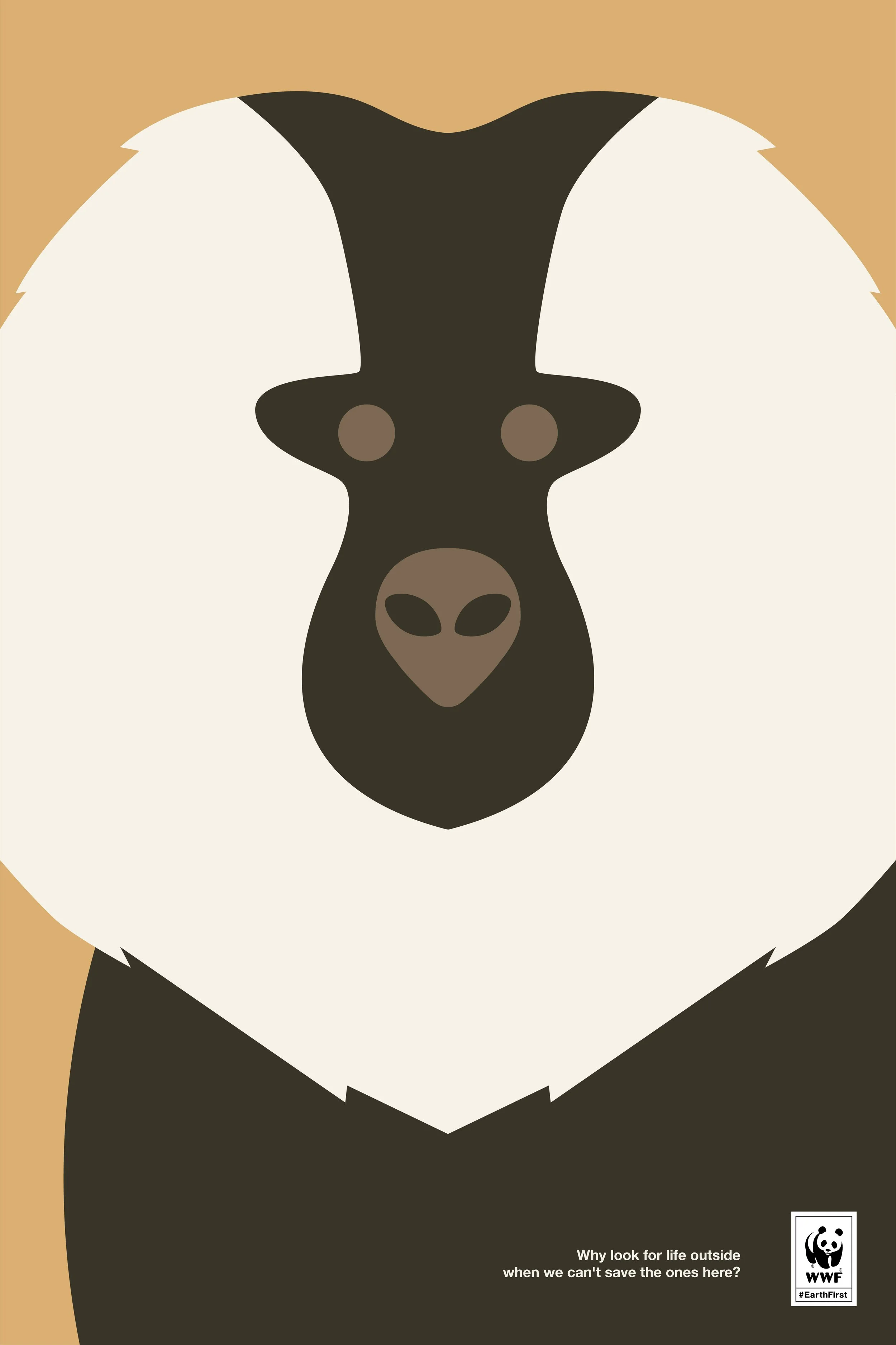 lion tailed macaque.jpg