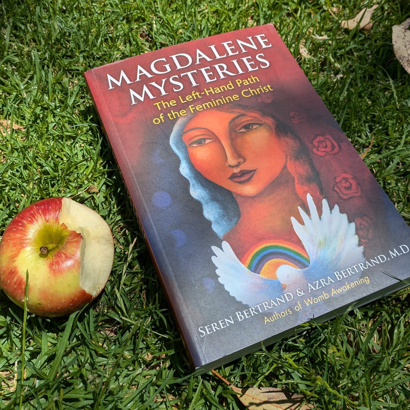 New Christmas holiday reading stash... Couldn't wait ❤️&zwj;🔥
(Didn't plan the apple 🍎 🕊️)

Wholly  Woman♀️ Pelvic &amp; Womb Awakening coming up next Sunday Dec 1st on the New Moon 🌑
https://www.eventbrite.com.au/e/wholly-woman-pelvic-womb-awake