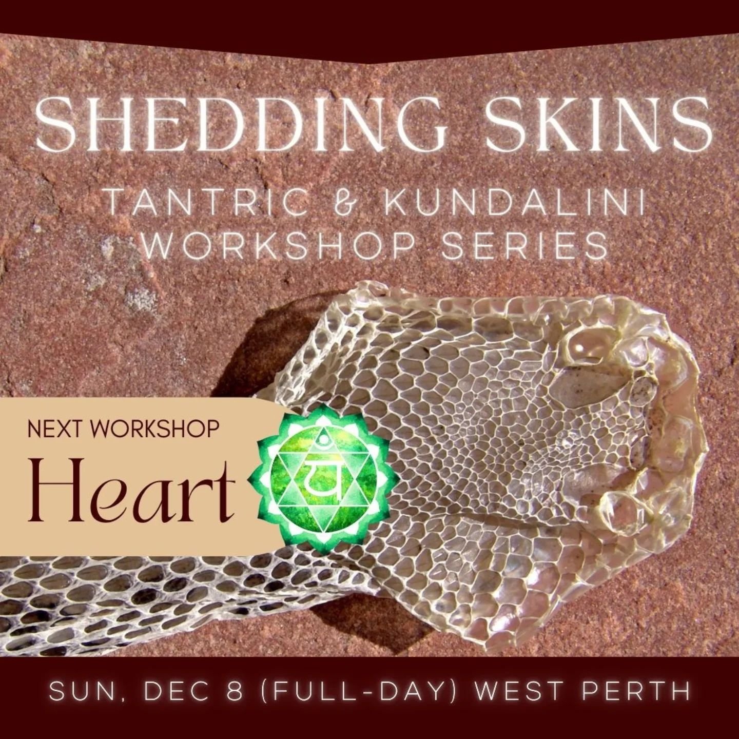 The final Shedding Skins workshop is coming up this Sunday 8 December 🙌💚 

Our chakra of focus is the HEART 💚

This will be a mix of heart-opening, tenderness, letting go, forgiveness, energetic bliss, and sensual connection. 

💚4 spots left 💚
(