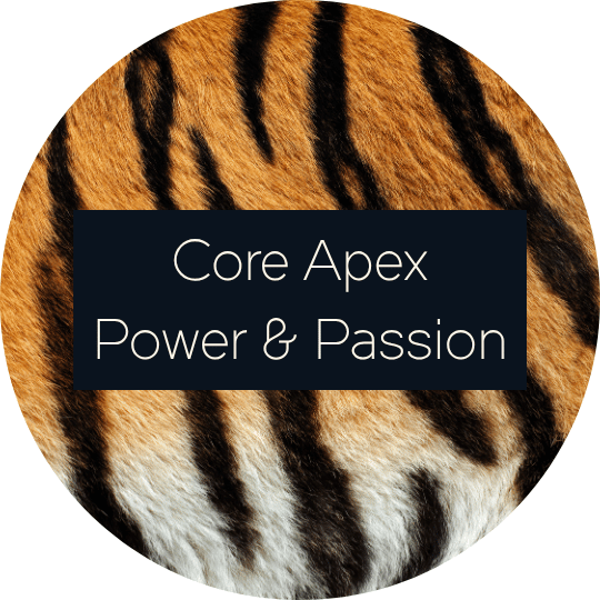 Perth Tantra Workshops - Alive - Solar Plexus Chakra
